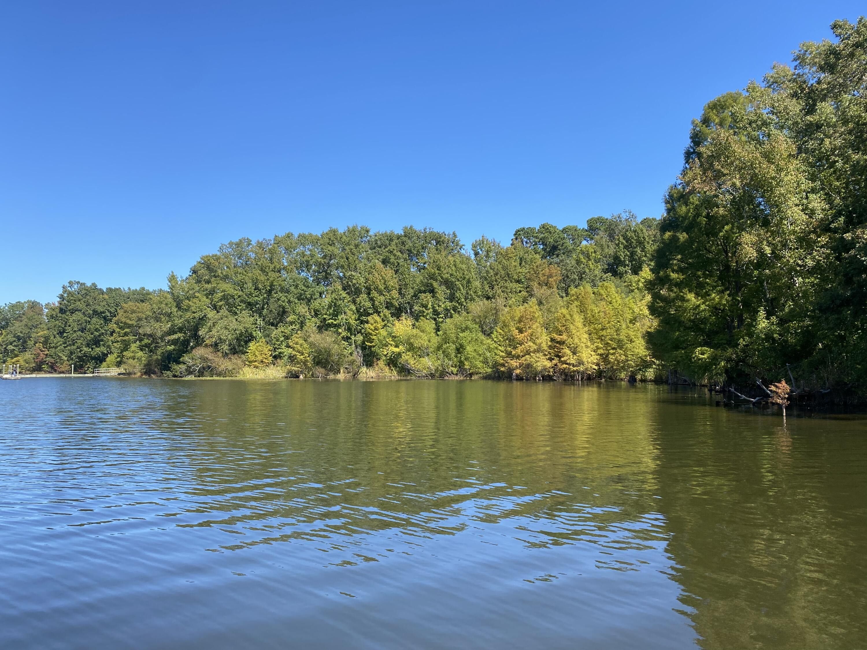 Summerton, Clarendon County, SC Undeveloped Land, Homesites for sale