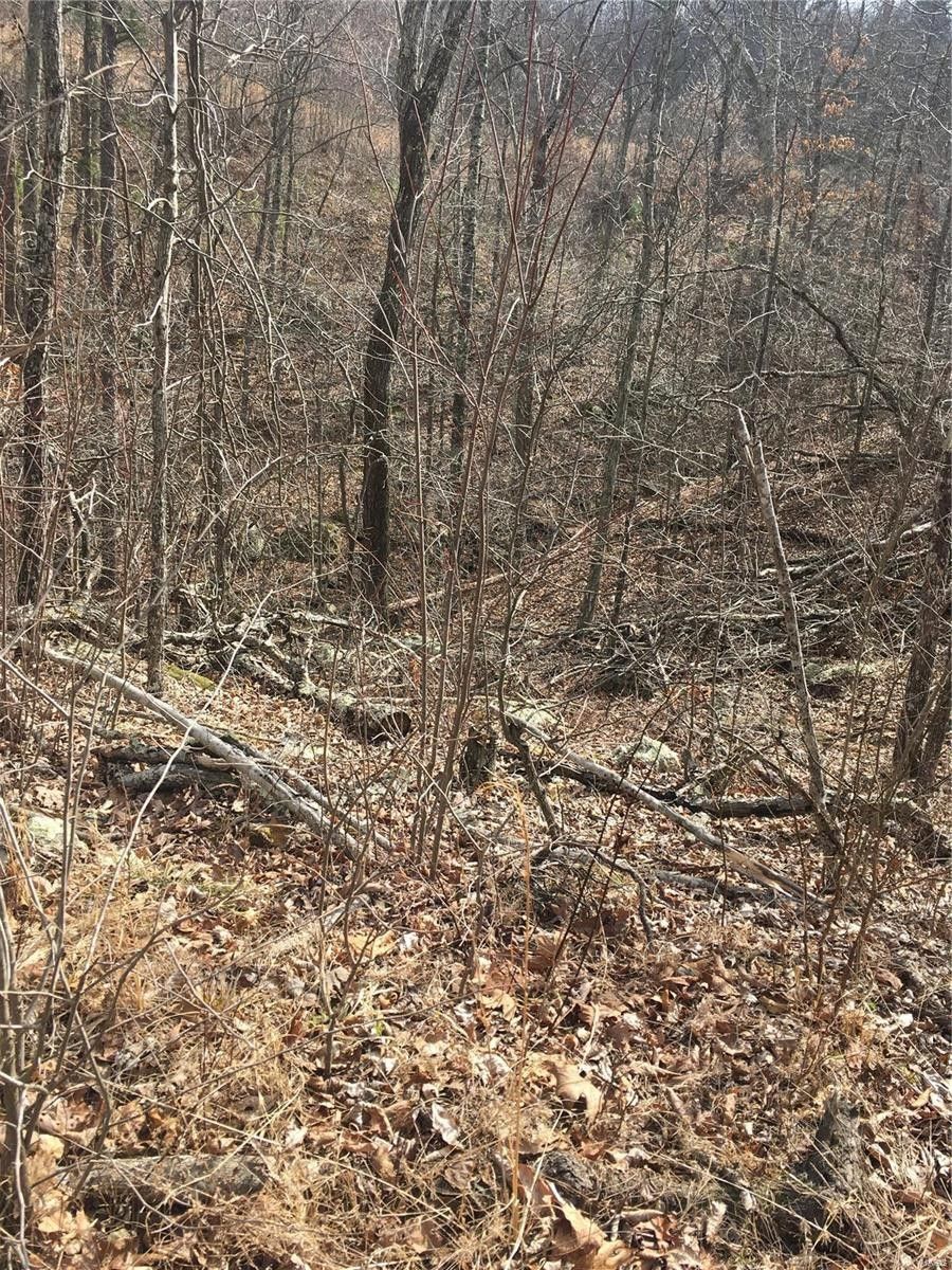 Middlebrook, Iron County, MO Farms and Ranches for sale Property ID