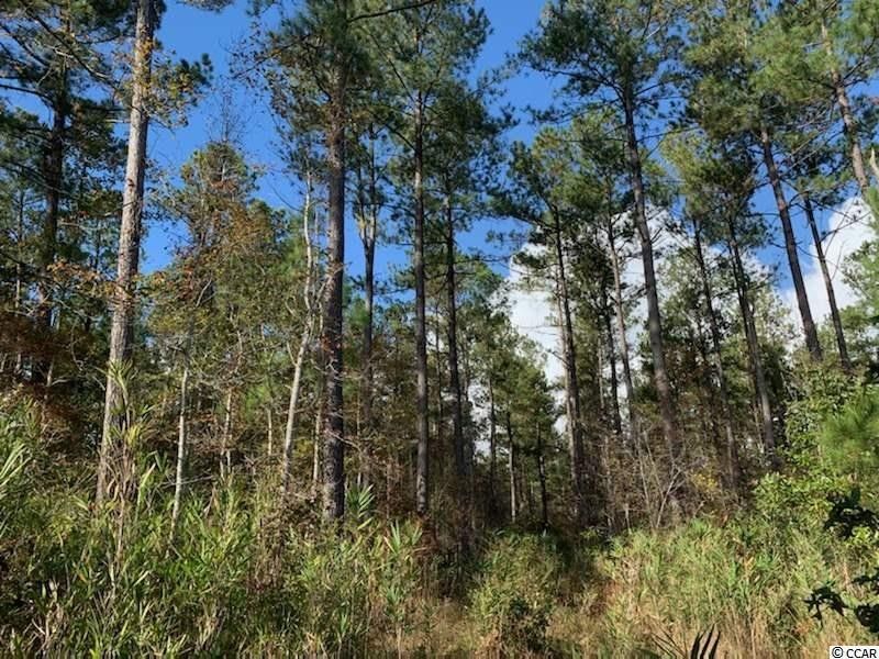 Kingstree, Williamsburg County, SC Undeveloped Land for sale Property