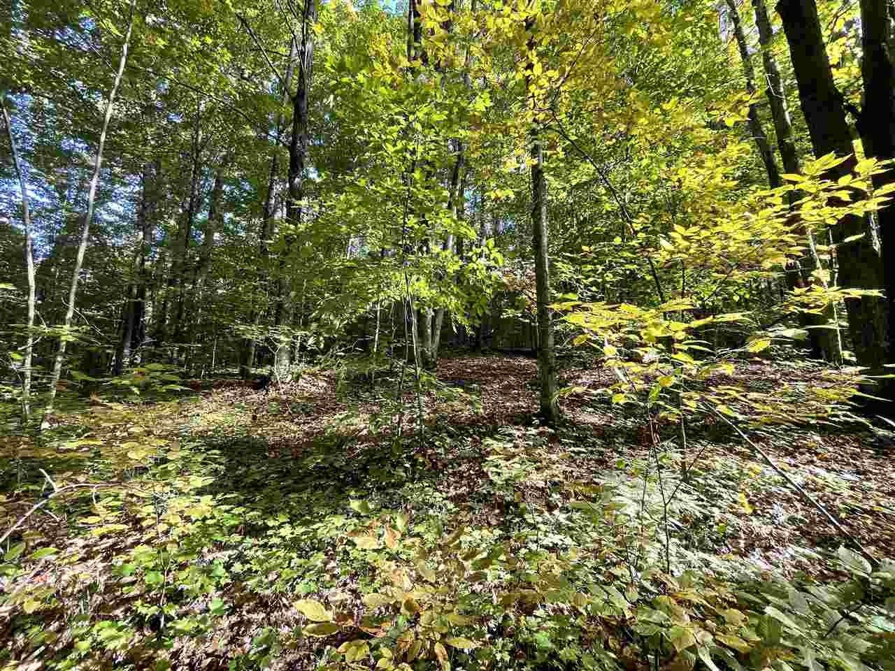 Vanderbilt, Charlevoix County, MI for sale Property ID 415010721