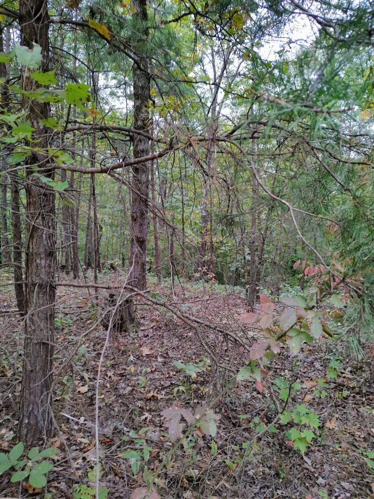 Clay City, Powell County, KY Undeveloped Land, Homesites for sale
