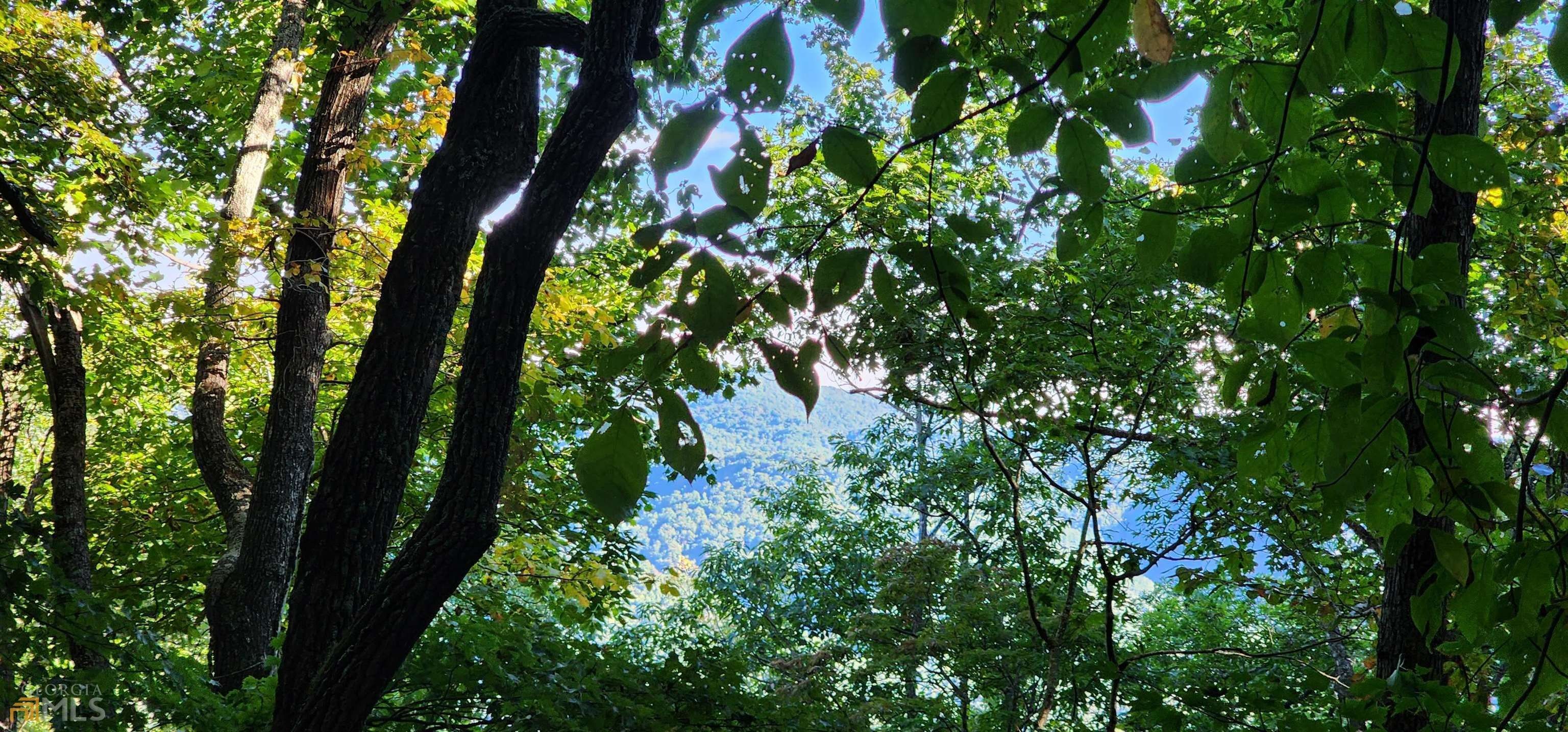 Franklin, Macon County, NC Undeveloped Land, Homesites for sale