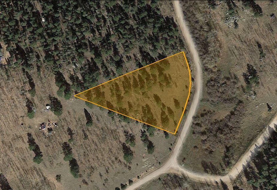 Florissant, Park County, CO Recreational Property, Undeveloped Land