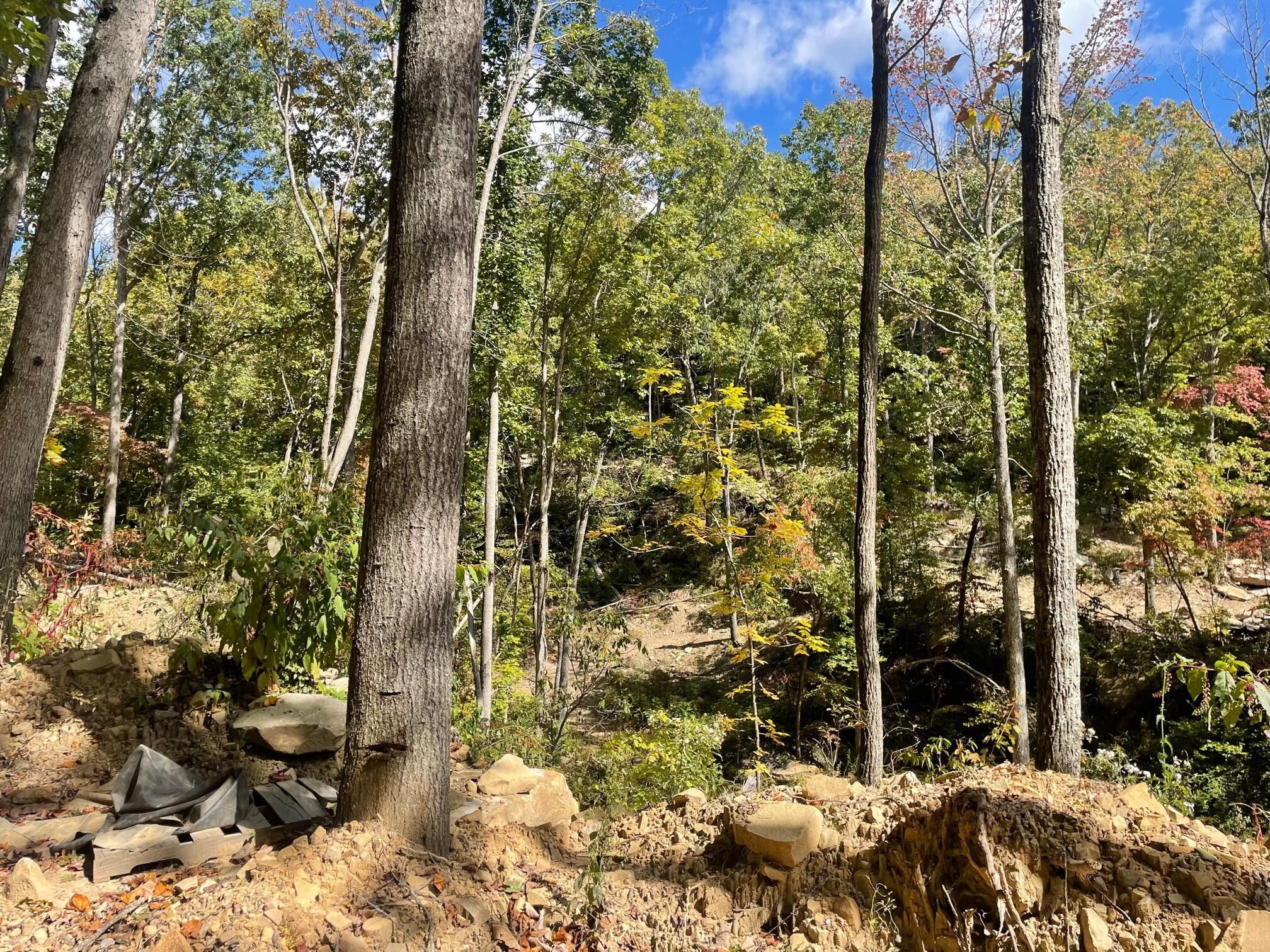 Pikeville, Bledsoe County, TN Undeveloped Land for sale Property ID