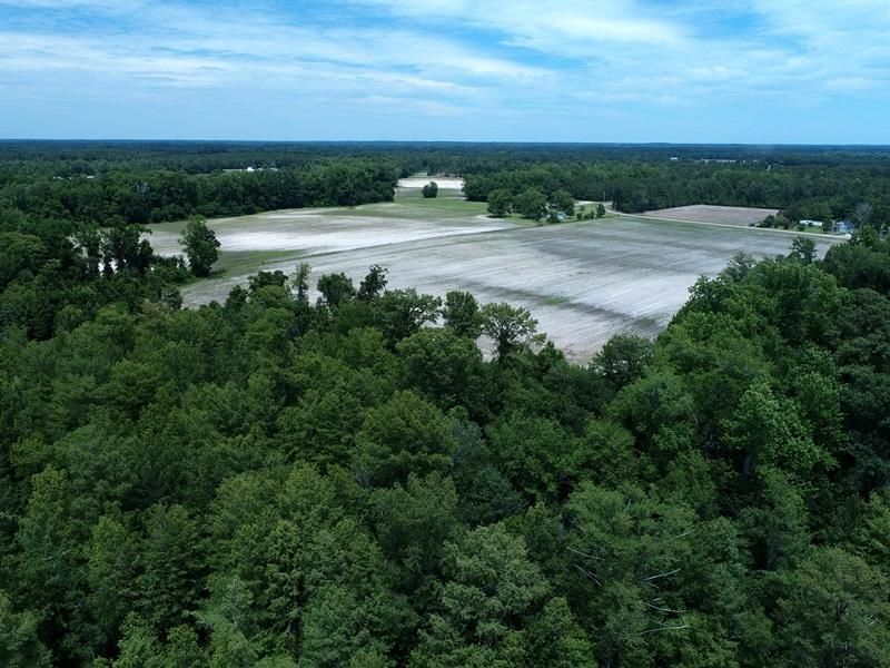 Fairmont, Robeson County, NC Farms and Ranches, Hunting Property for