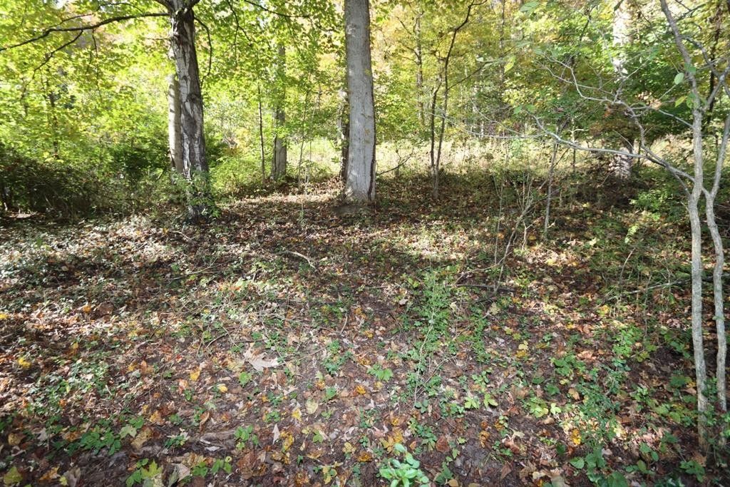 Abingdon, Washington County, VA Farms and Ranches, Lakefront Property