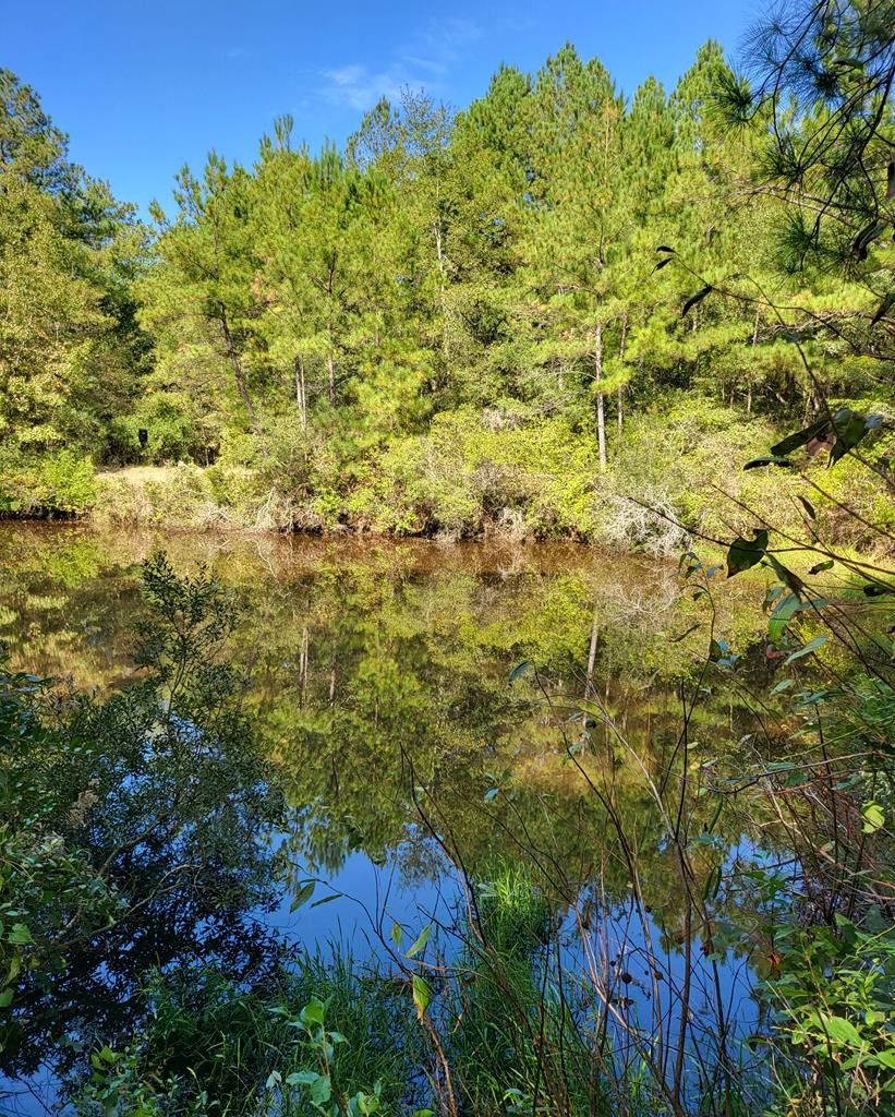 Lakeland, Lanier County, GA Undeveloped Land, Lakefront Property