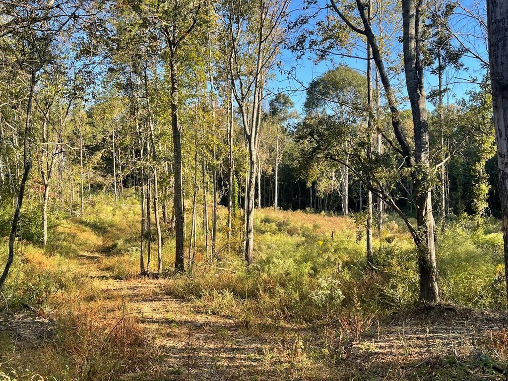 Brookhaven, Lincoln County, MS Undeveloped Land for sale Property ID