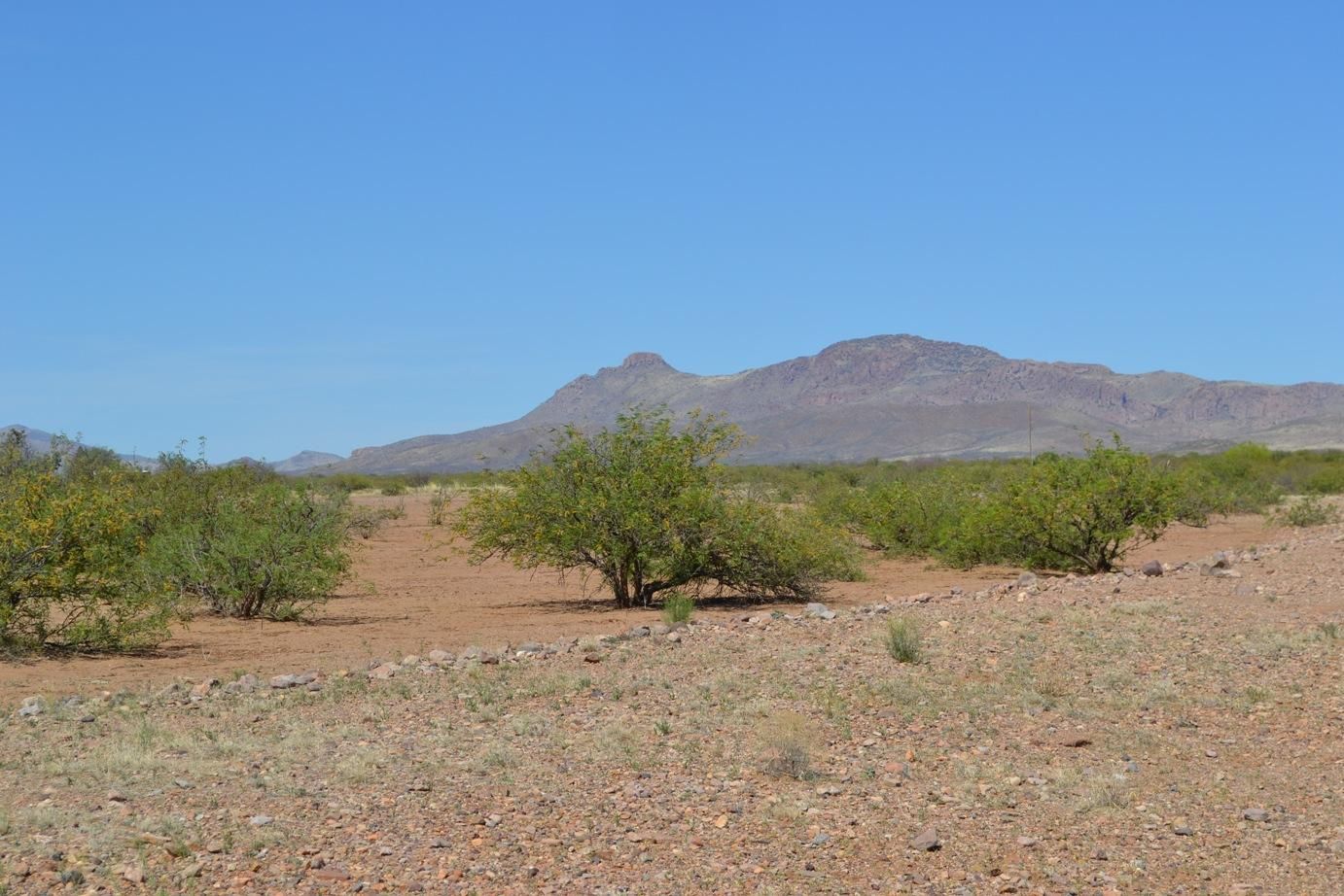 0.21 acres in Douglas, AZ, 85607 MLS C2021016 LandWatch