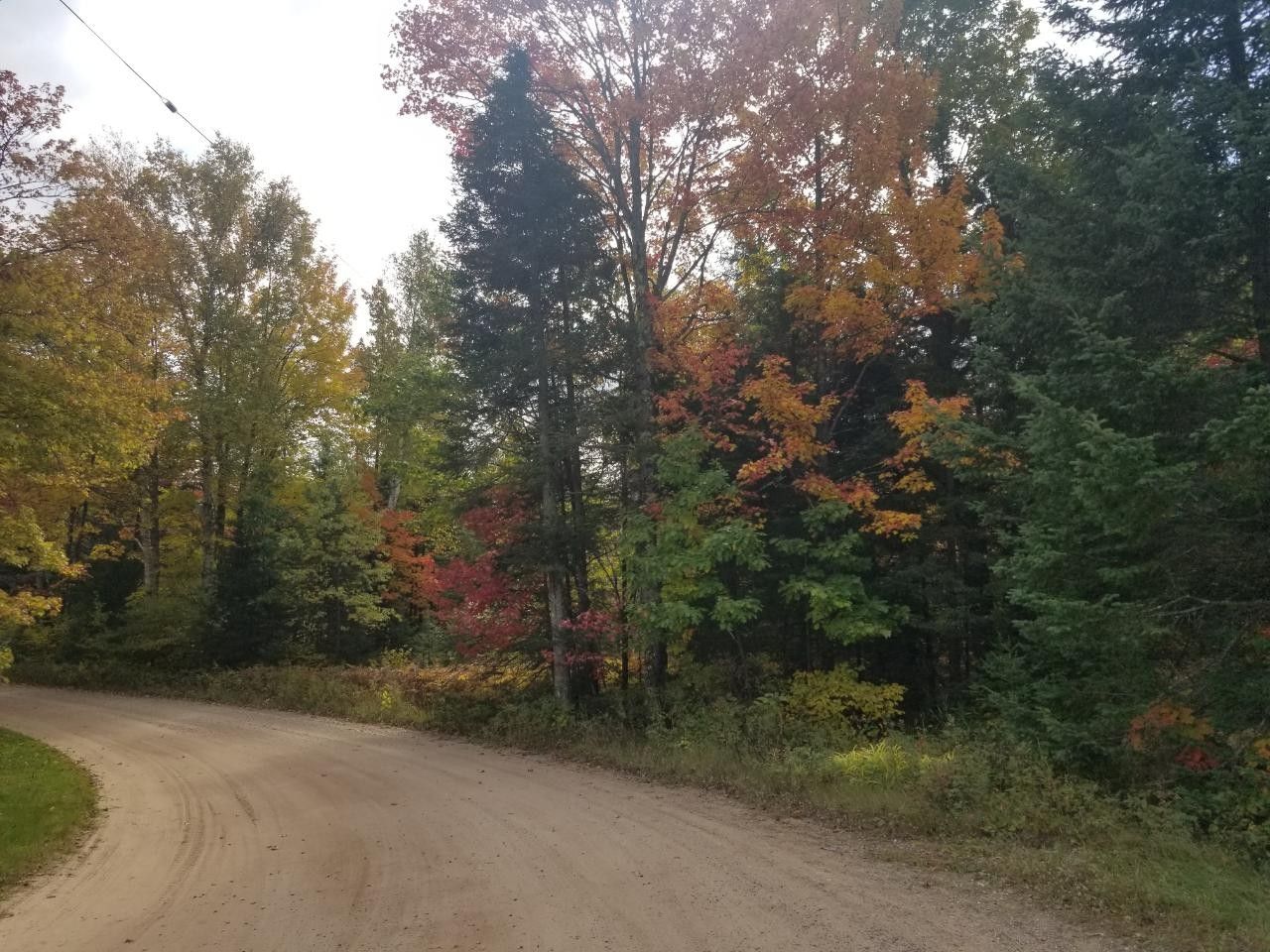 Elcho, Langlade County, WI Undeveloped Land for sale Property ID