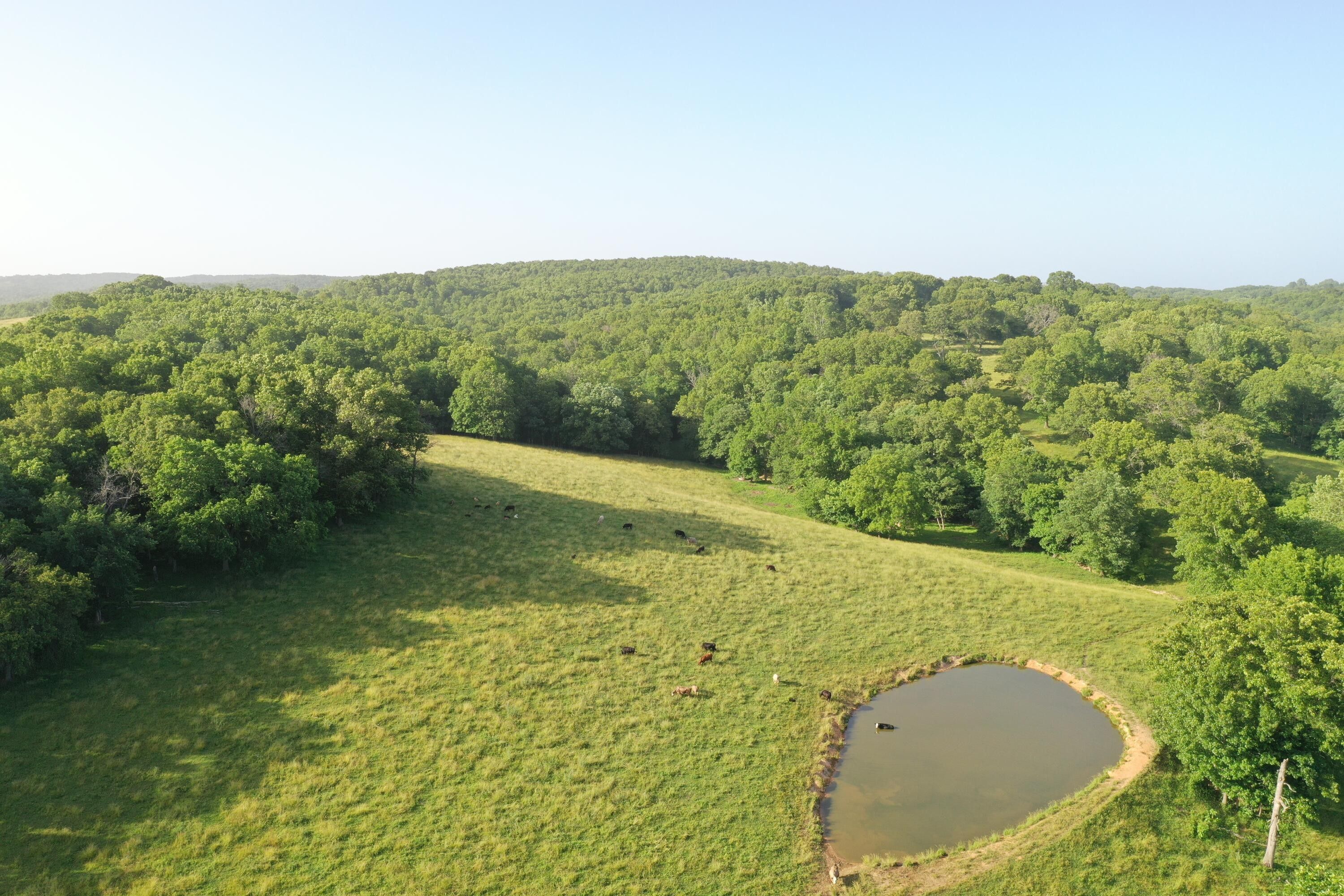 Ava, Douglas County, MO Undeveloped Land, Lakefront Property