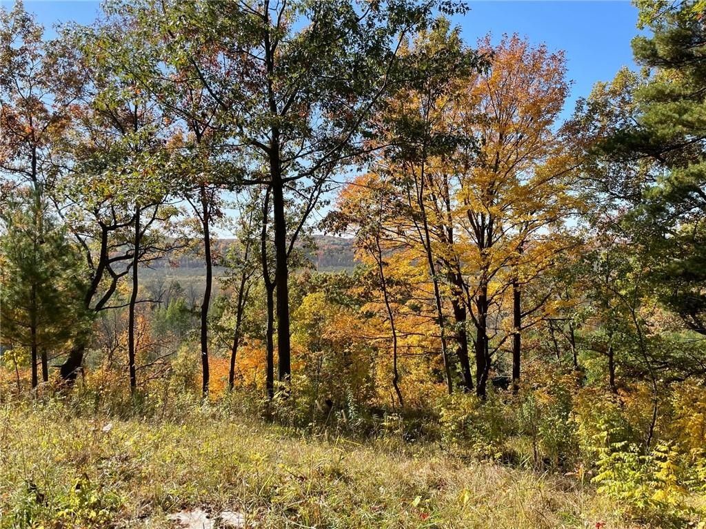 Boyceville, Dunn County, WI Undeveloped Land for sale Property ID