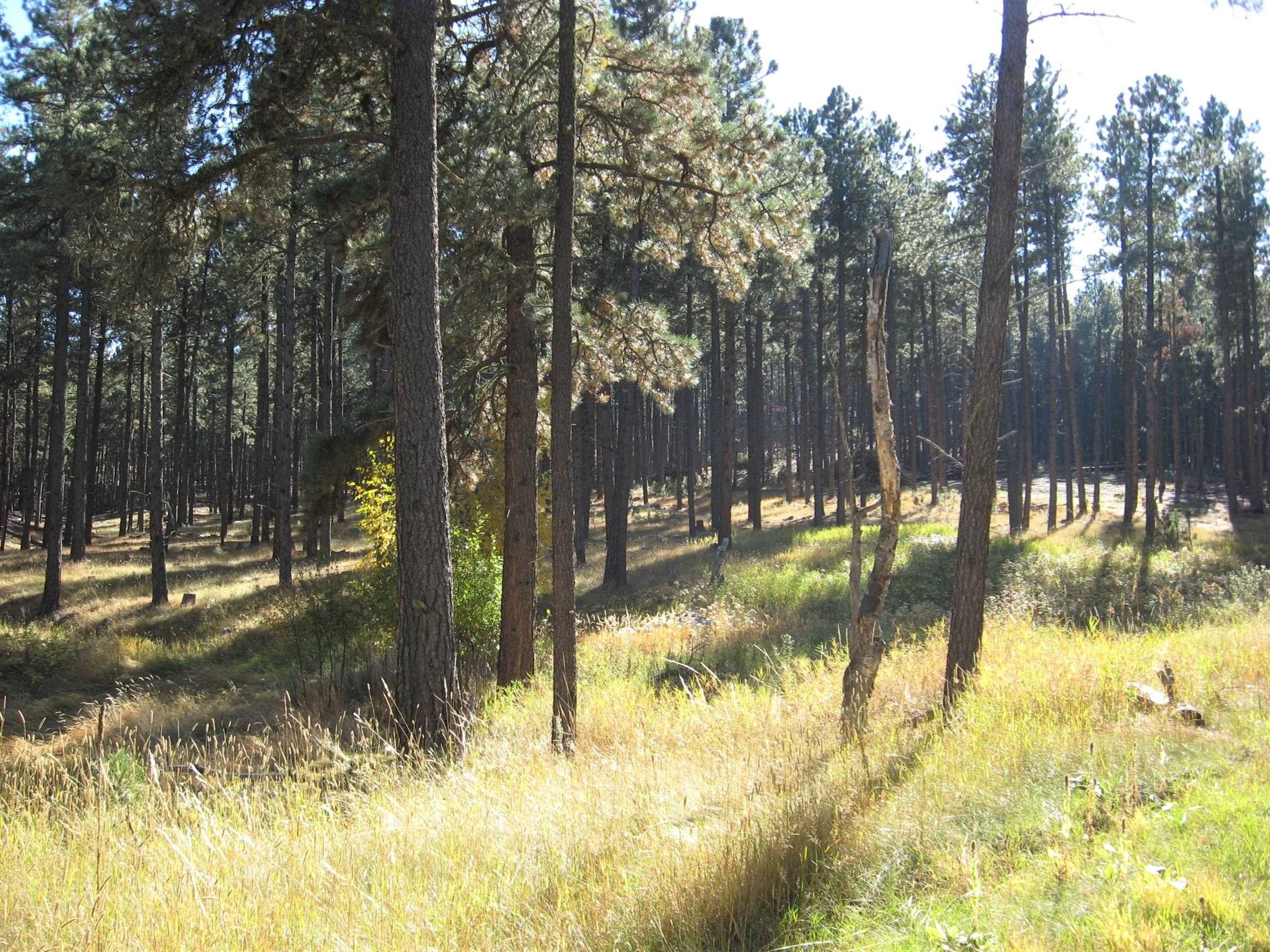 Hill City, Pennington County, SD Undeveloped Land, Homesites for sale