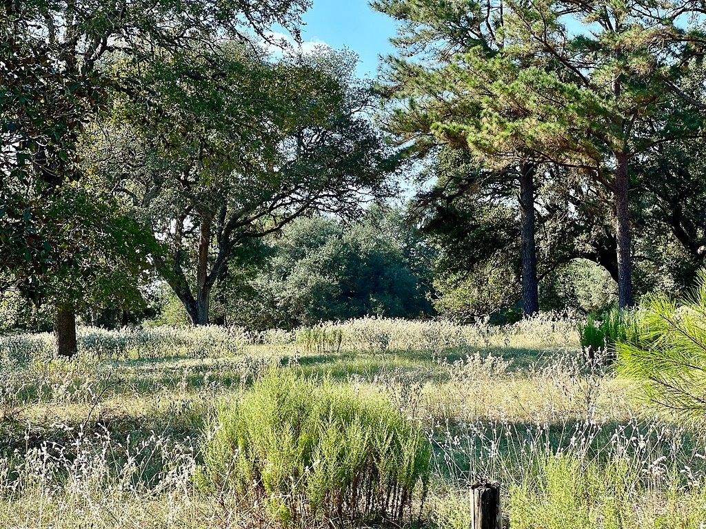 1190 CR 235, Sheridan, TX 77475 MLS 138812 LandWatch