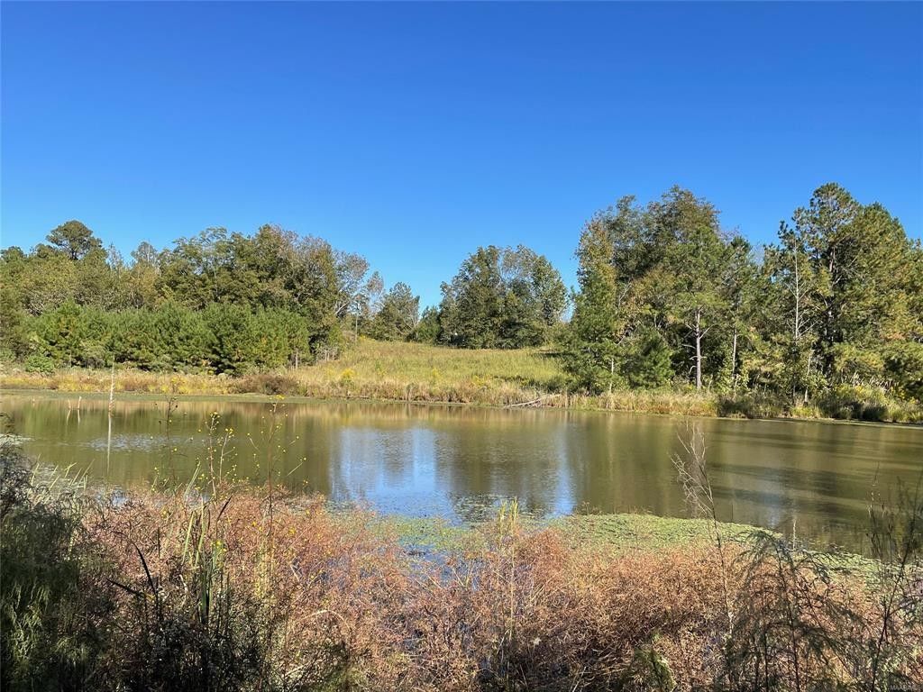 Letohatchee, Montgomery County, AL Undeveloped Land, Lakefront Property