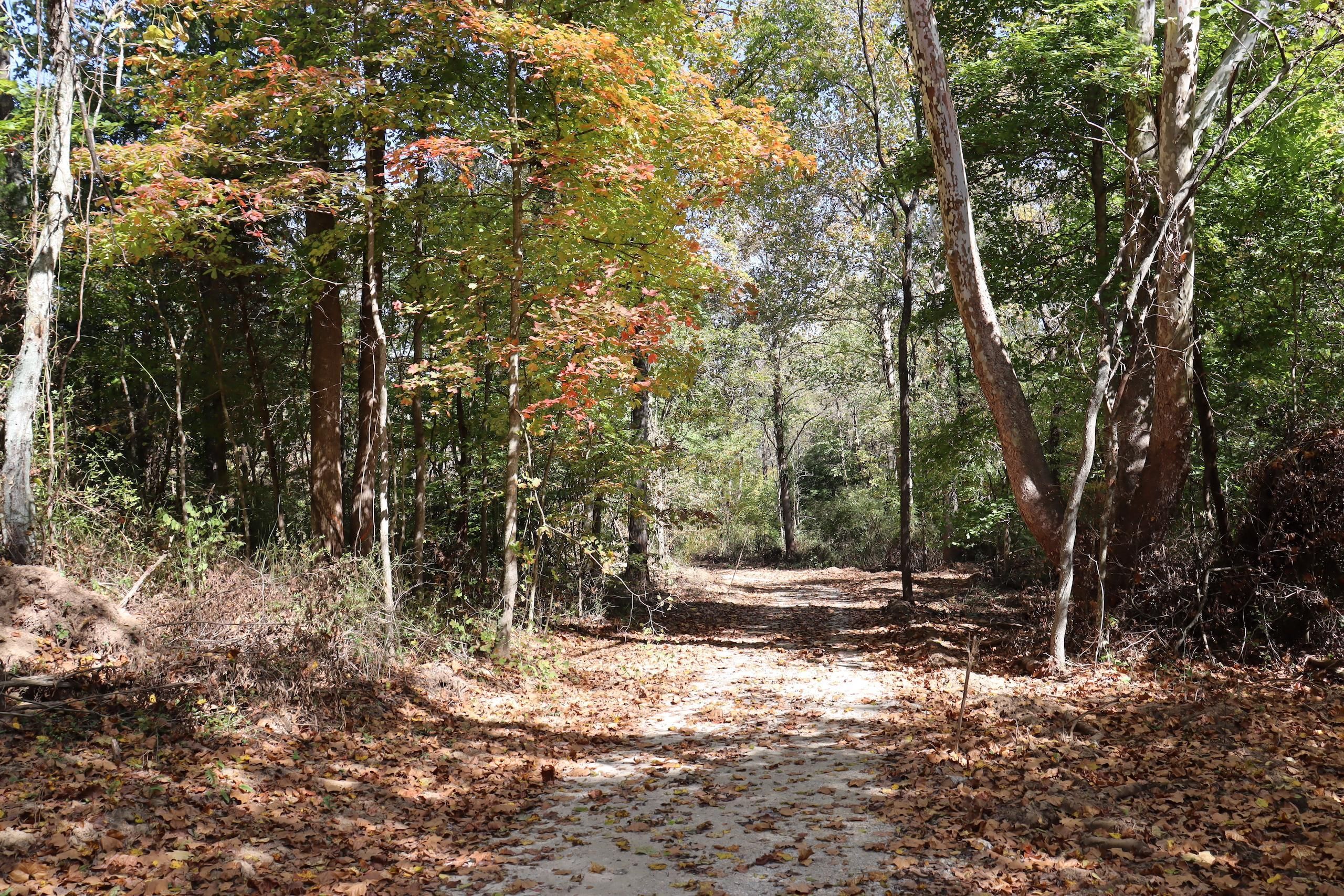 Springville, Greene County, IN Recreational Property, Timberland Property, Hunting Property for
