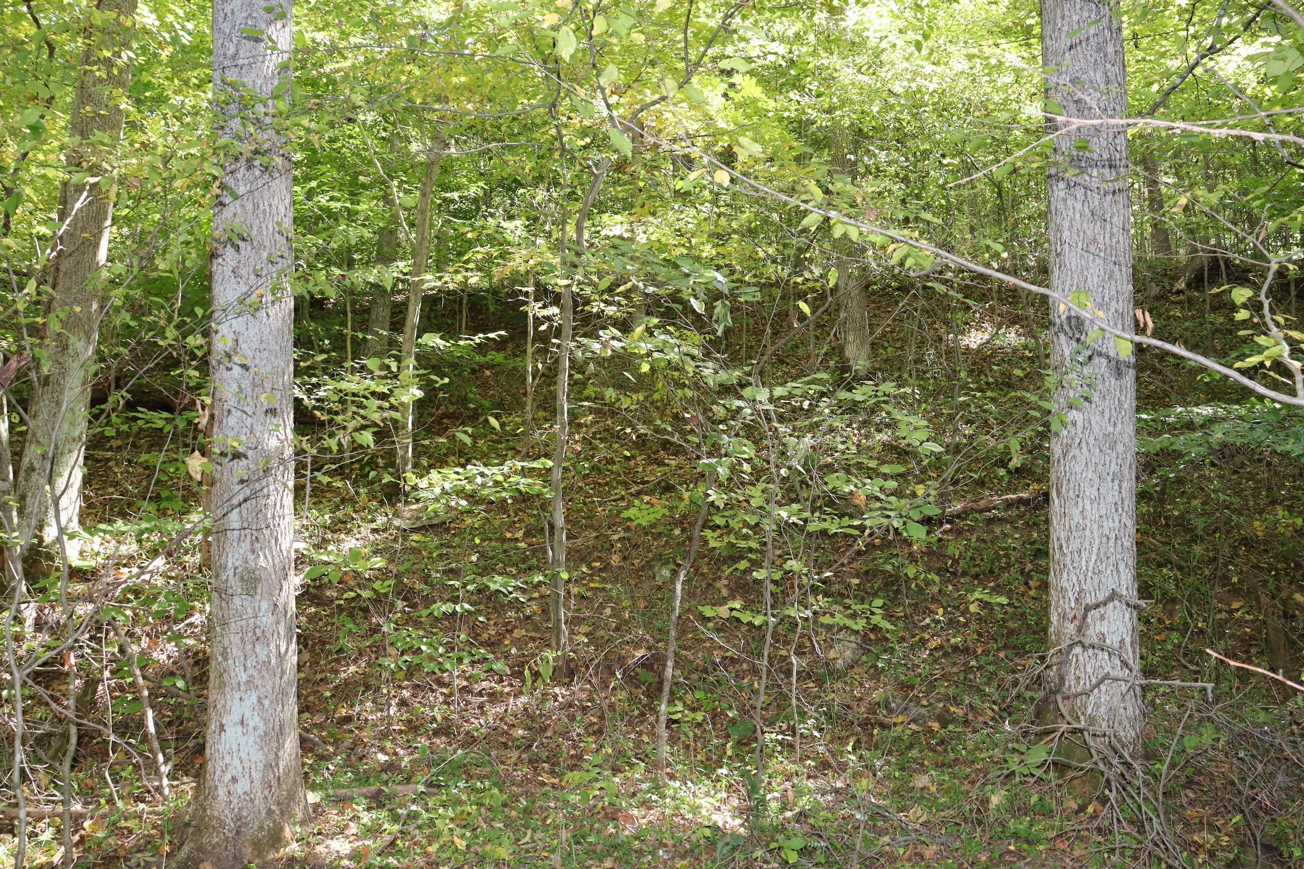 Springville, Greene County, IN Recreational Property, Timberland Property, Hunting Property for