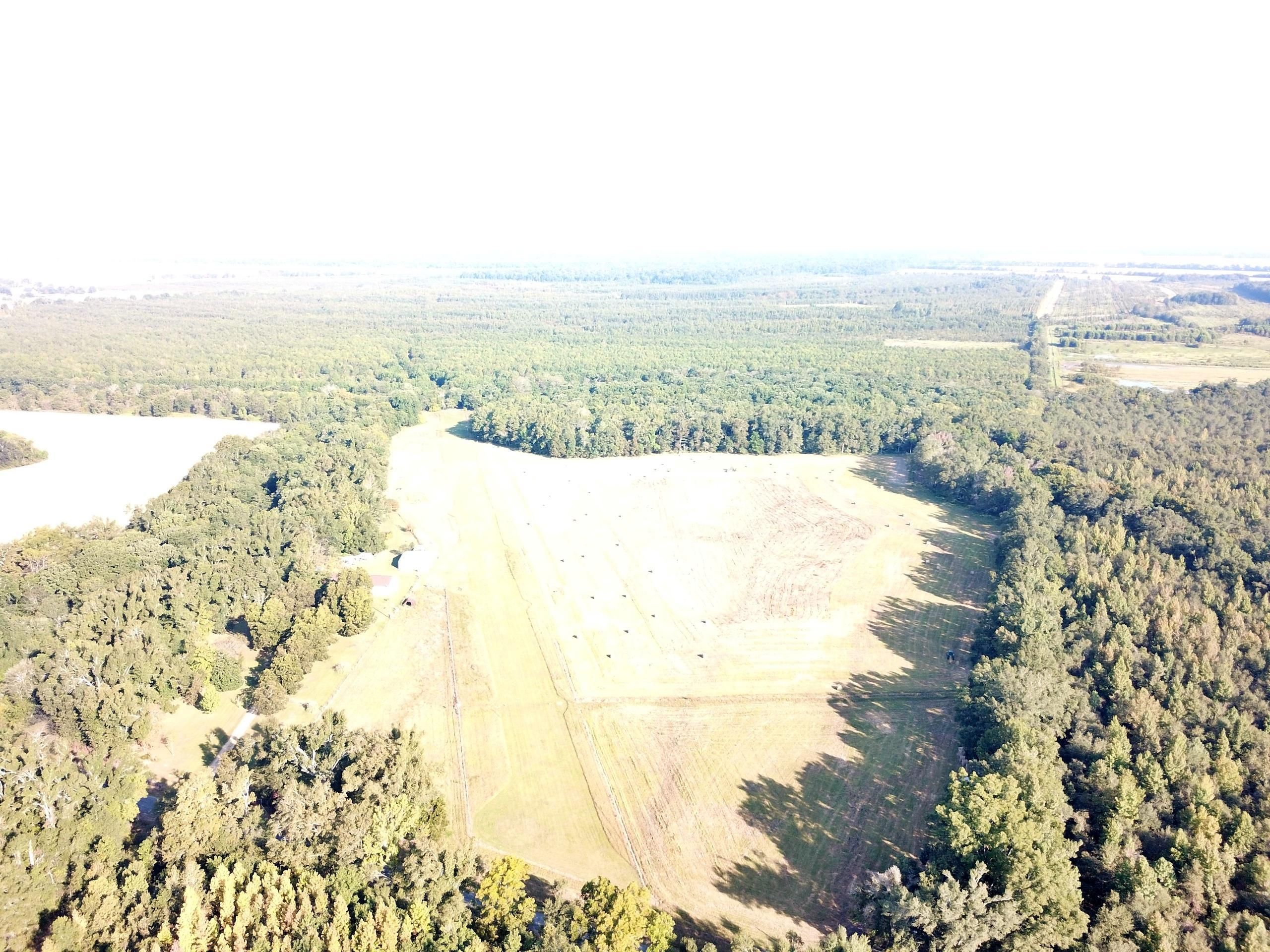 Jonesville, Concordia Parish, LA Recreational Property, Timberland
