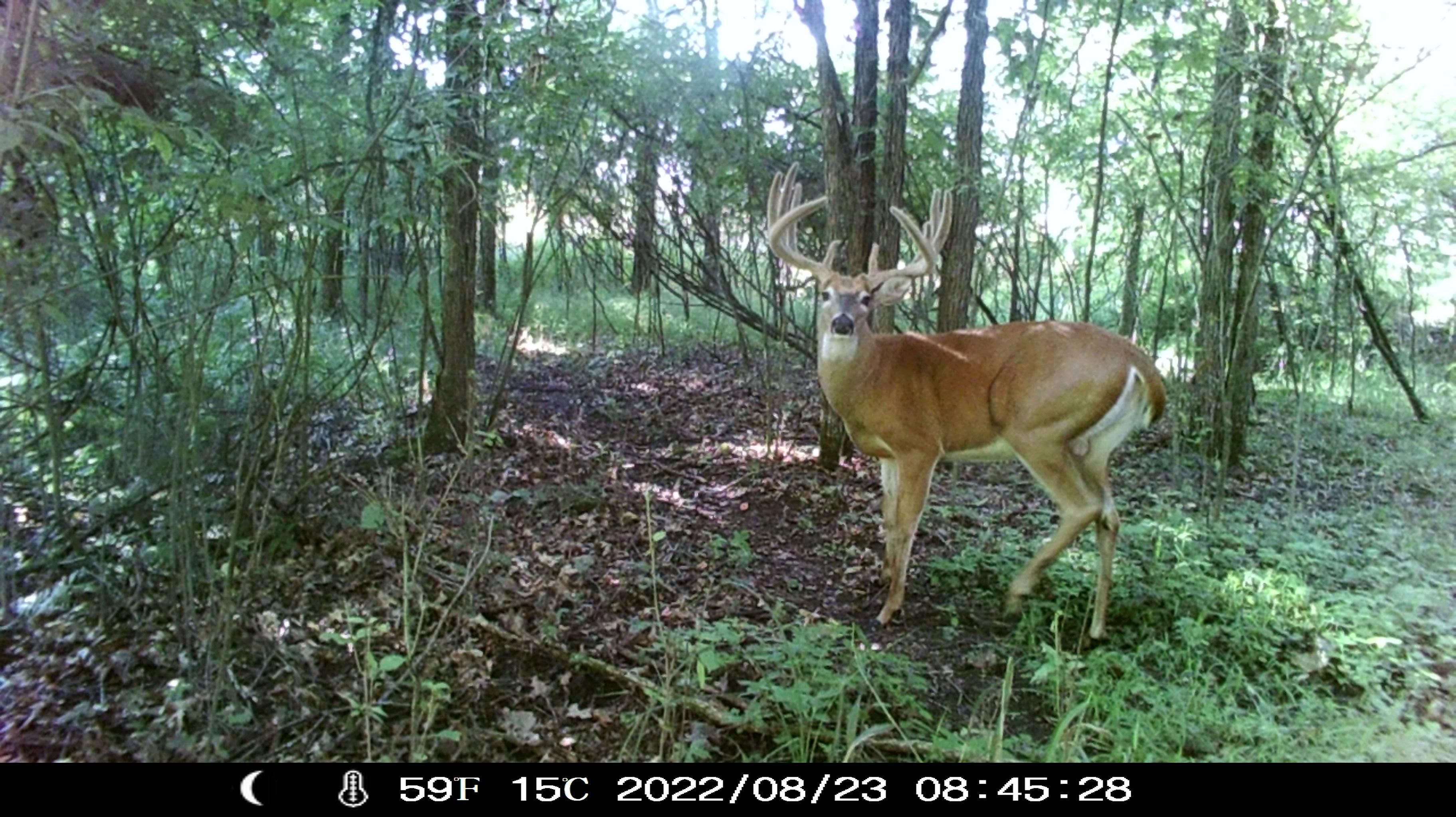 County Hwy W, Union Center, WI 53962 LandWatch