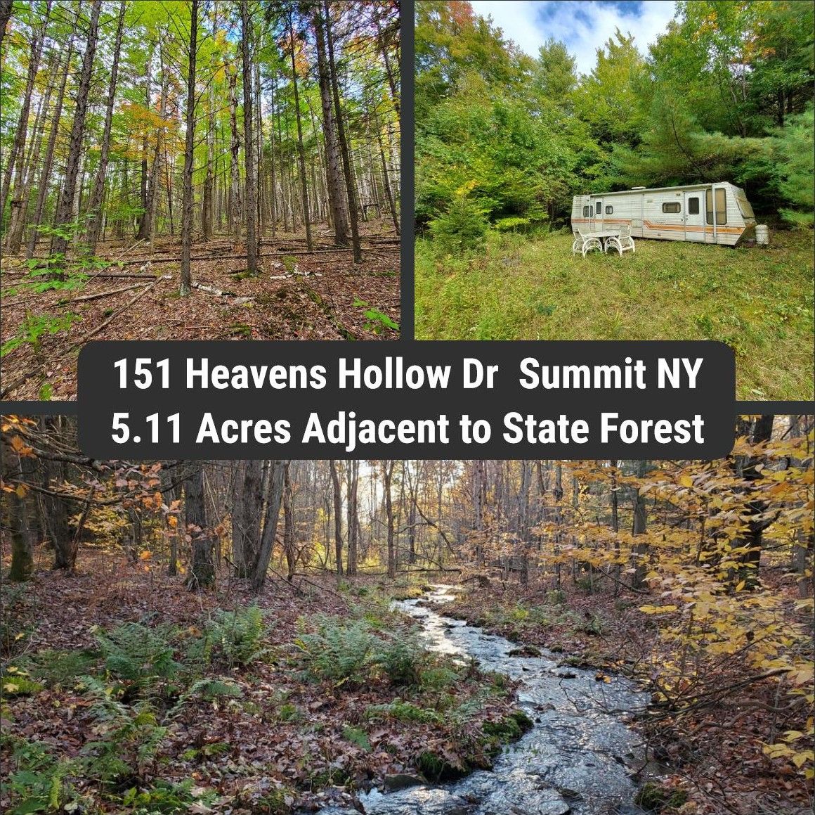 Summit, Schoharie County, NY Undeveloped Land for sale Property ID