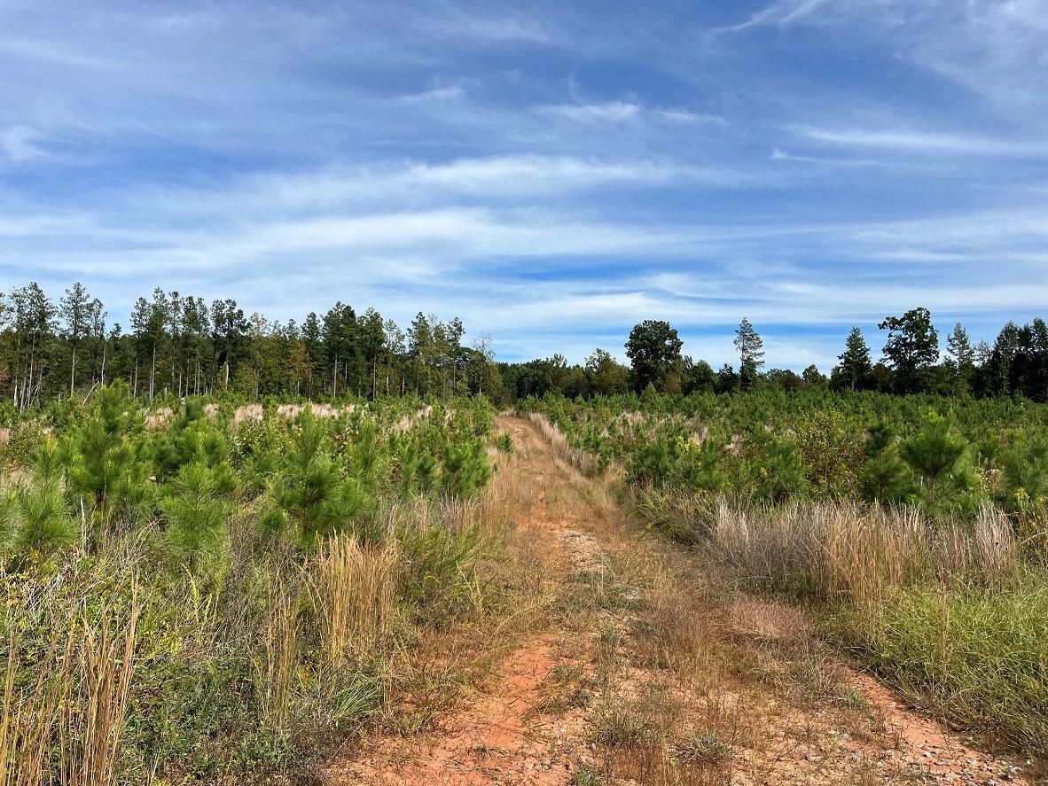 Meherrin, Lunenburg County, VA Timberland Property, Undeveloped Land