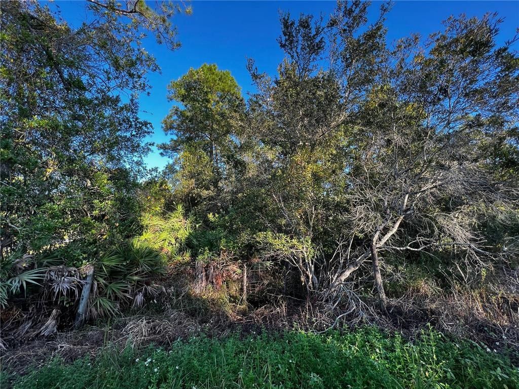 Orlando, Orange County, FL Undeveloped Land, Homesites for sale