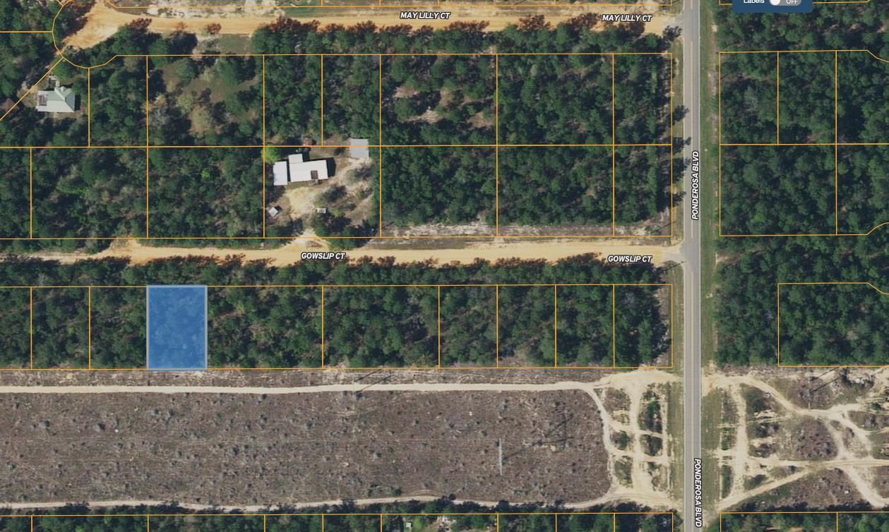 Defuniak Springs, Walton County, FL Recreational Property, Undeveloped