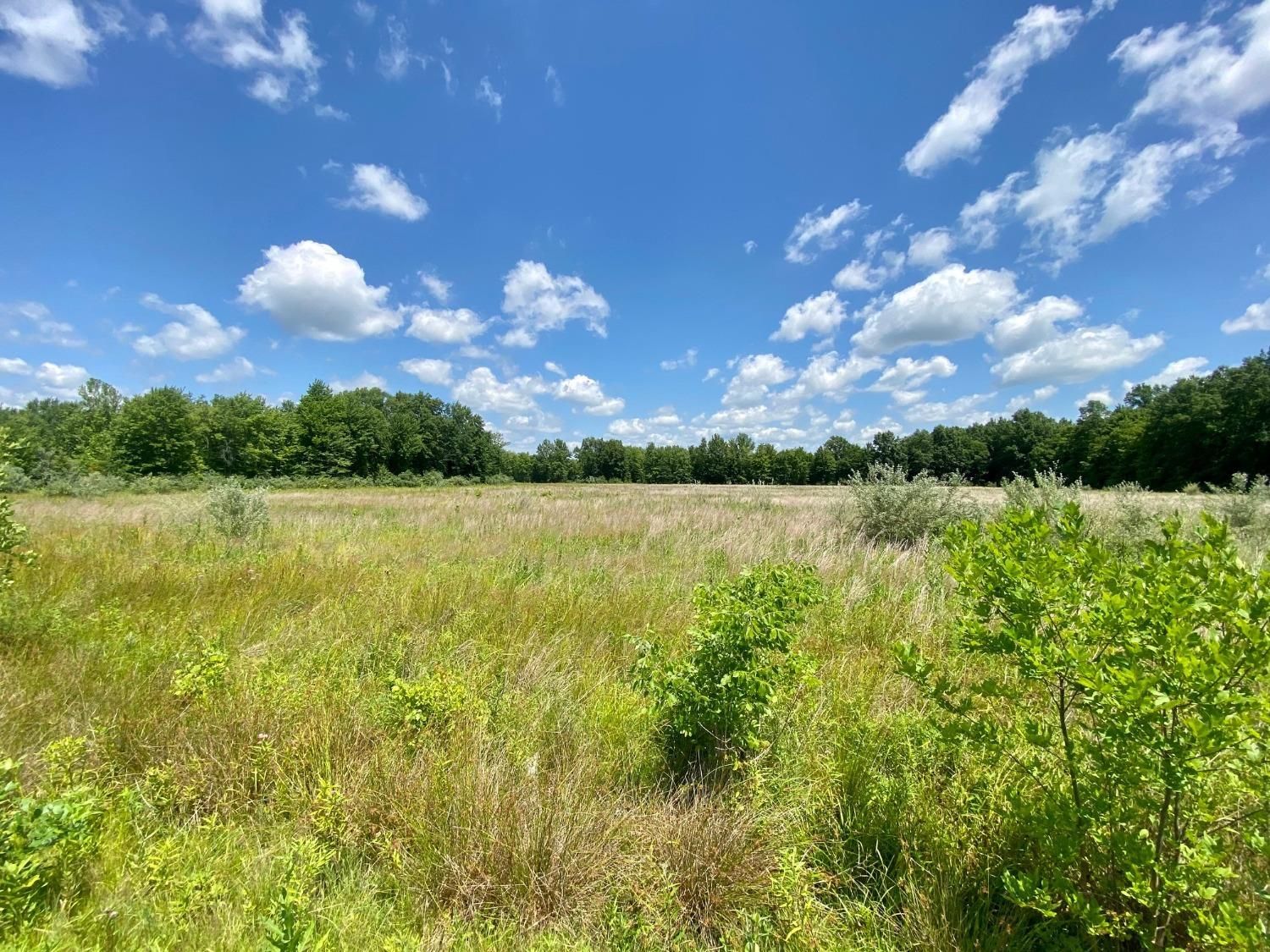 Mount Orab, Adams County, OH Recreational Property, Undeveloped Land