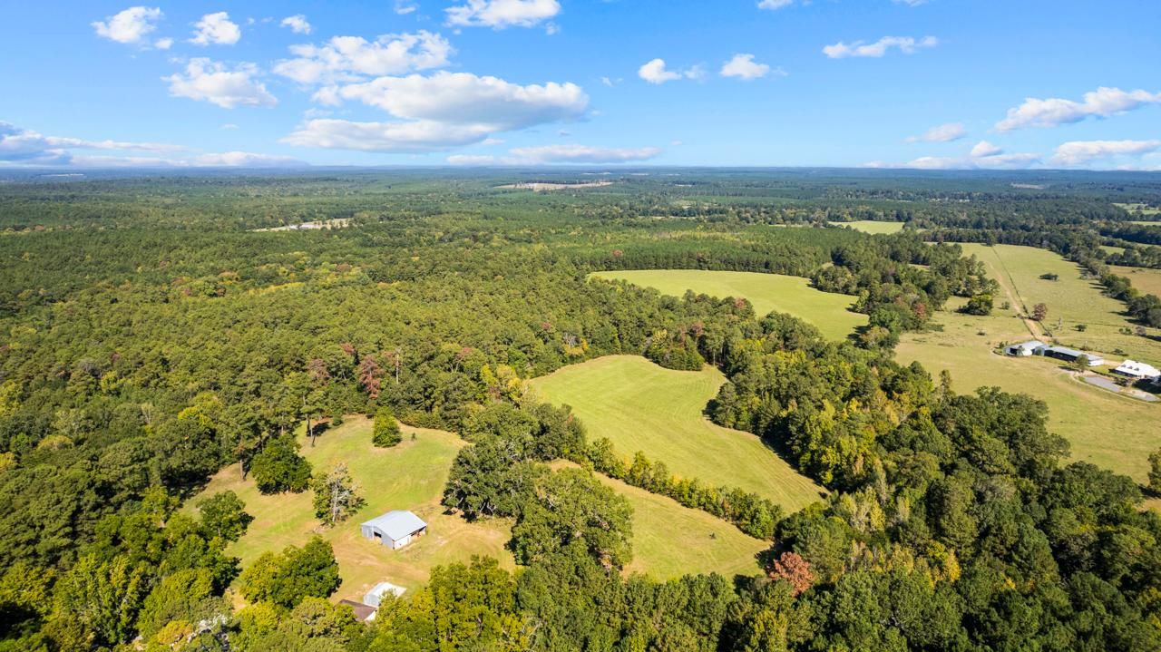 Woodville, Tyler County, TX Farms and Ranches, Hunting Property for