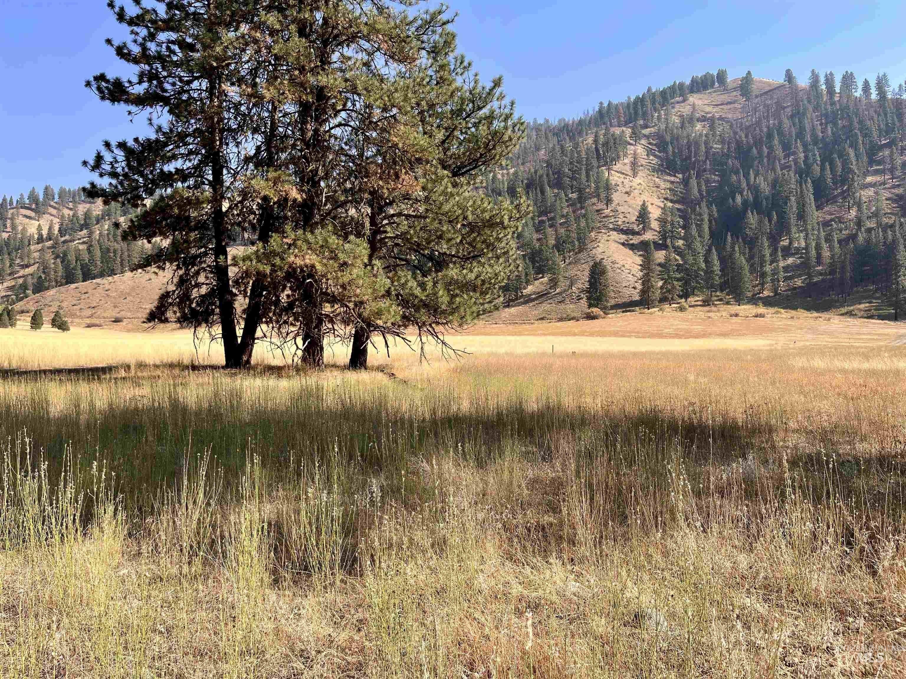 Garden Valley, Boise County, ID Undeveloped Land, Lakefront Property