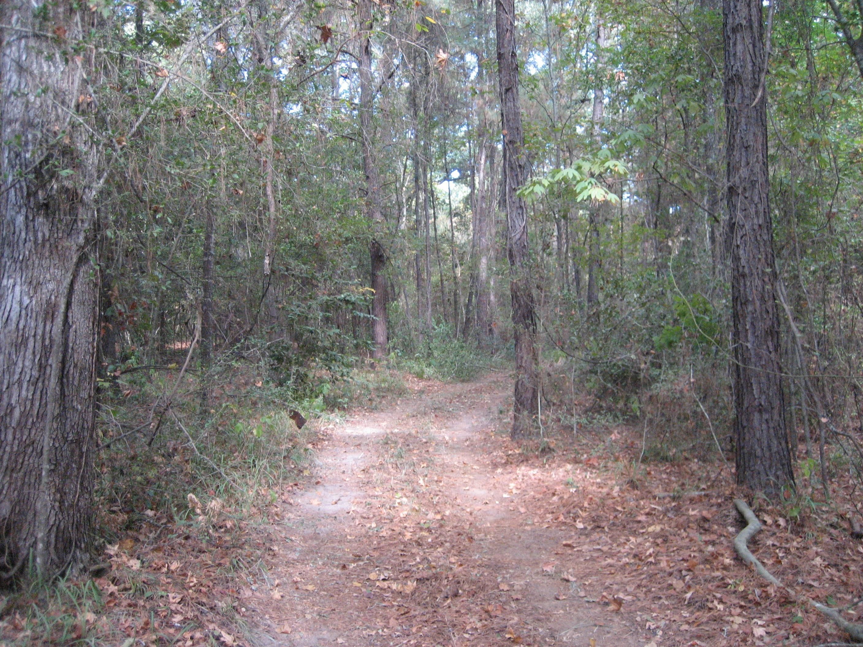 Crockett, Houston County, TX Recreational Property, Timberland Property