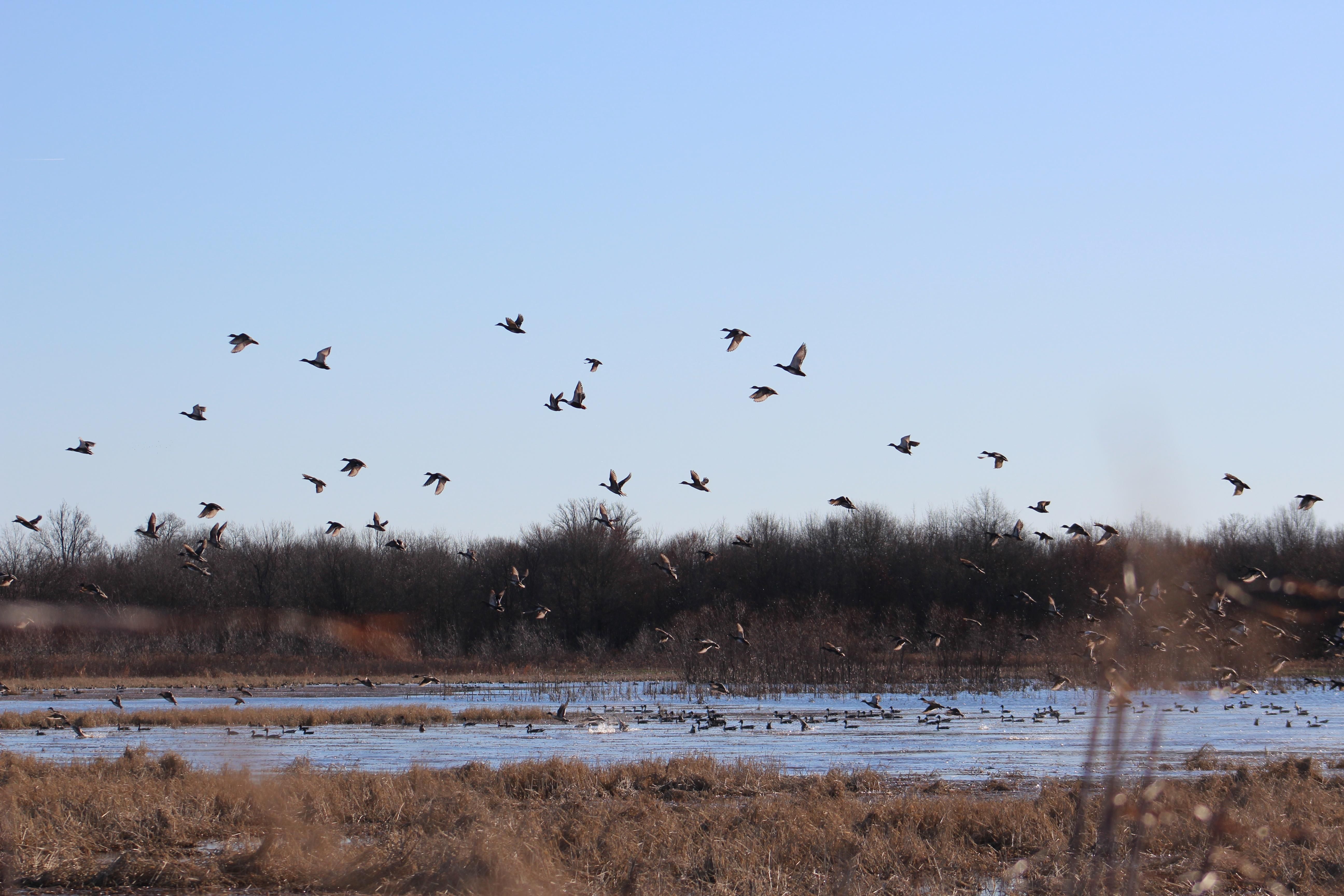 777 Beaver Dam Rd, Tutwiler, MS 38963 LandWatch