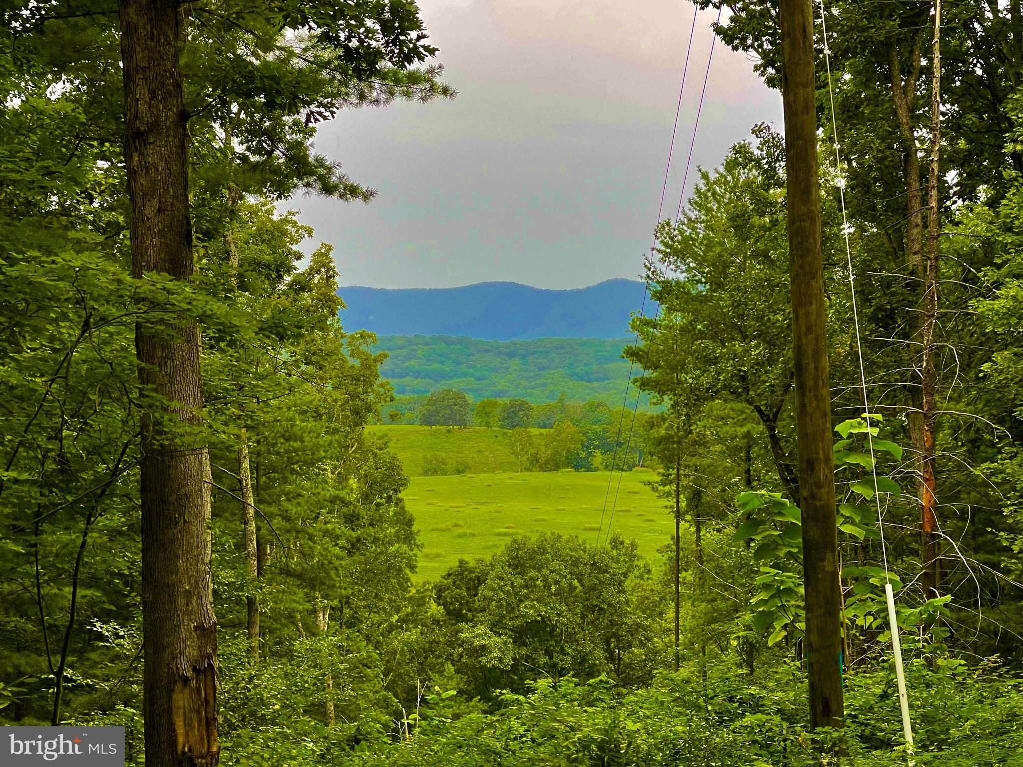 Bentonville, Warren County, VA Farms and Ranches for sale Property ID