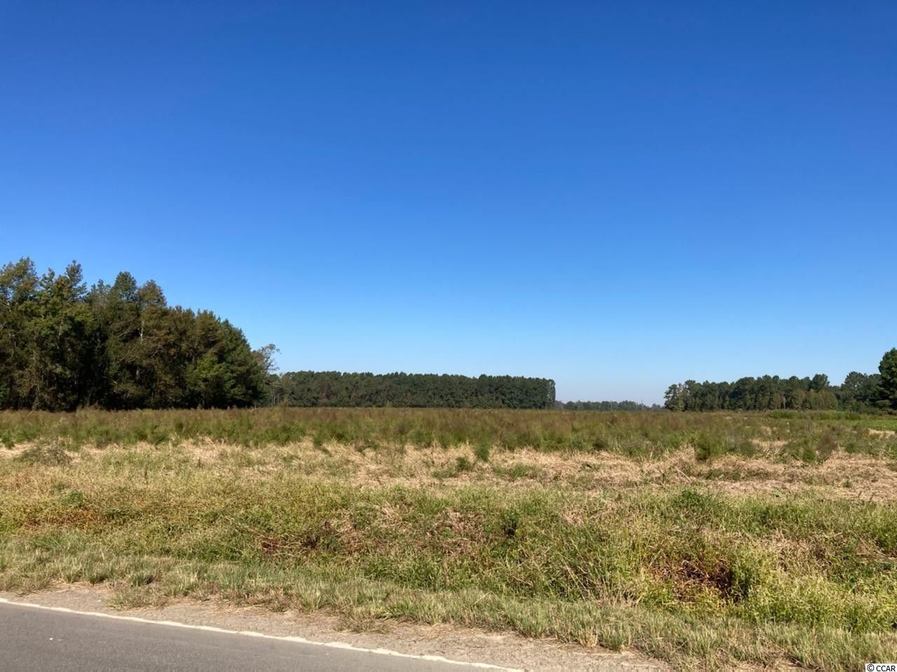 Green Sea, Horry County, SC Farms and Ranches for sale Property ID