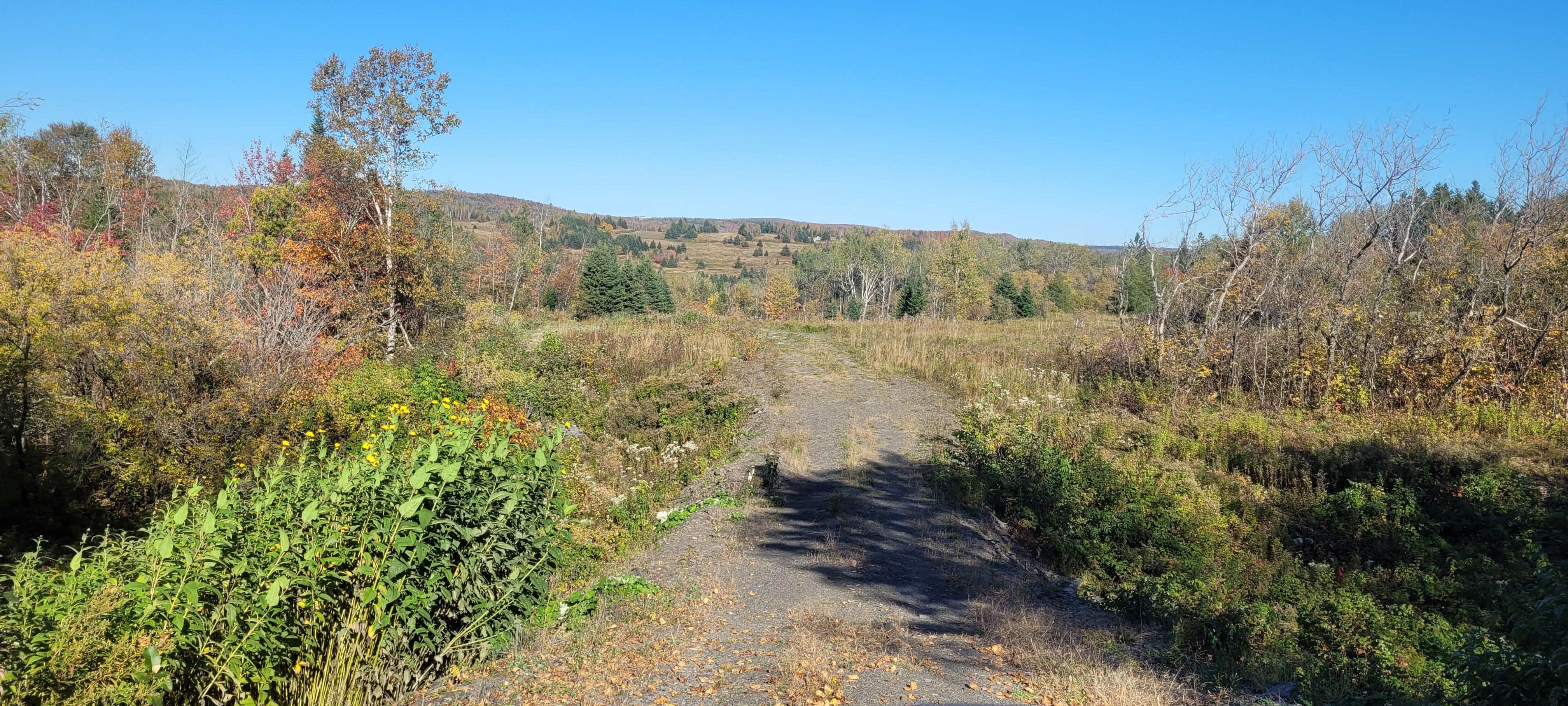 Saint Agatha, Aroostook County, ME Timberland Property, Riverfront