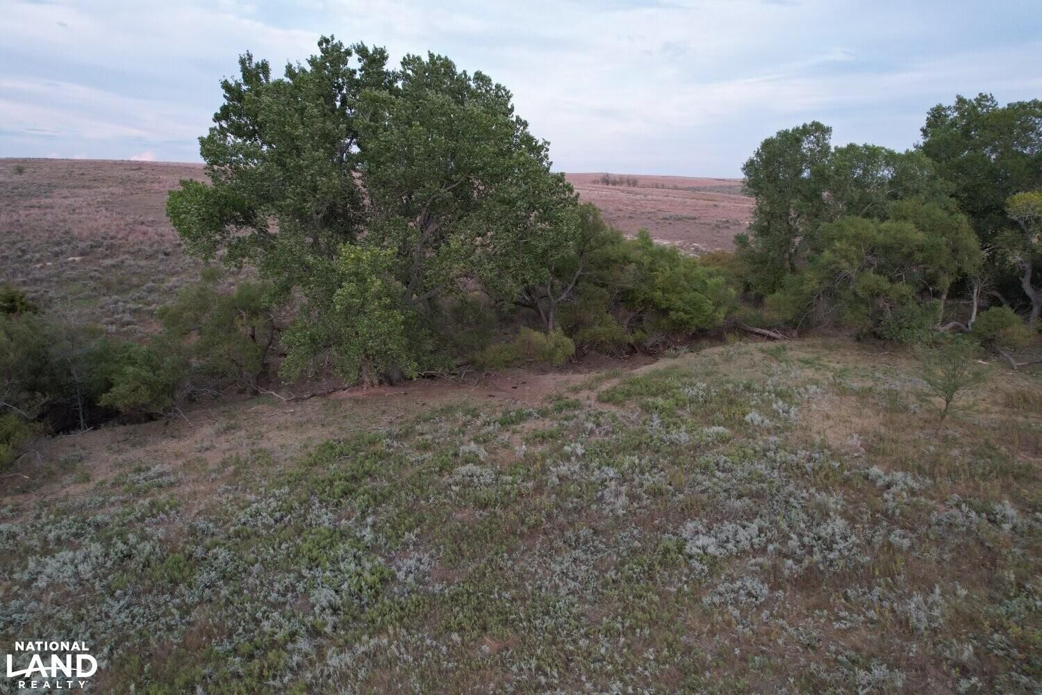 Shattuck, Ellis County, OK Farms and Ranches, Hunting Property for sale