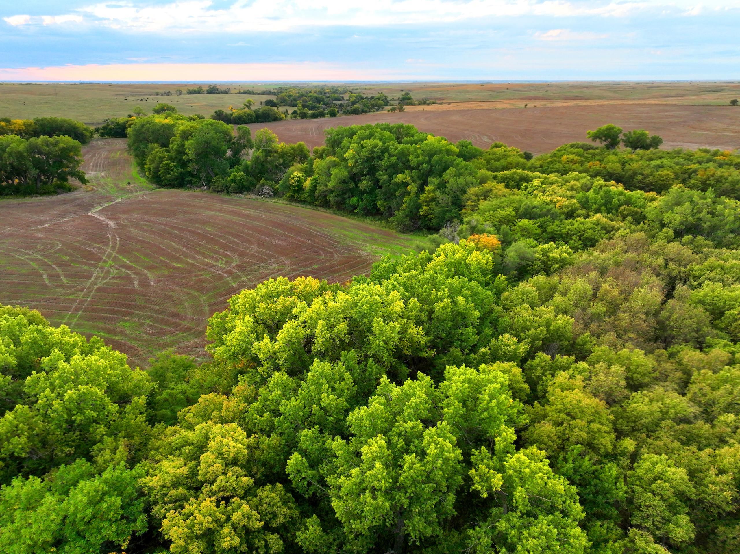 Hill City, Graham County, KS Farms and Ranches, Timberland Property