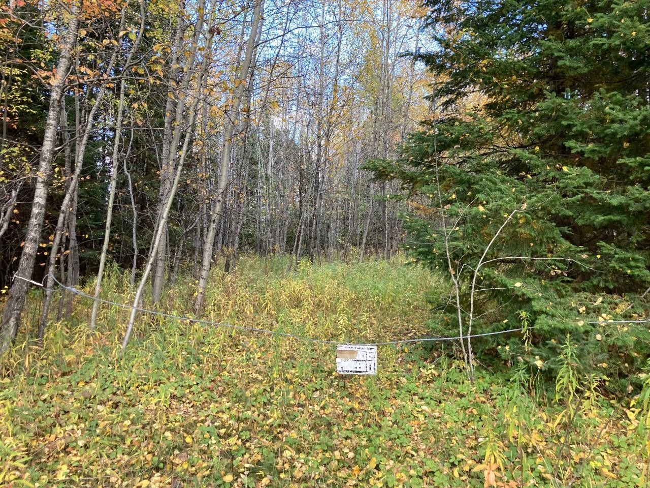 Crandon, Forest County, WI Undeveloped Land for sale Property ID