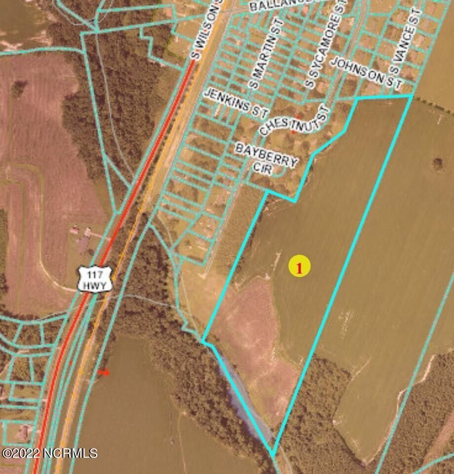 Fremont, Wayne County, NC Undeveloped Land for sale Property ID