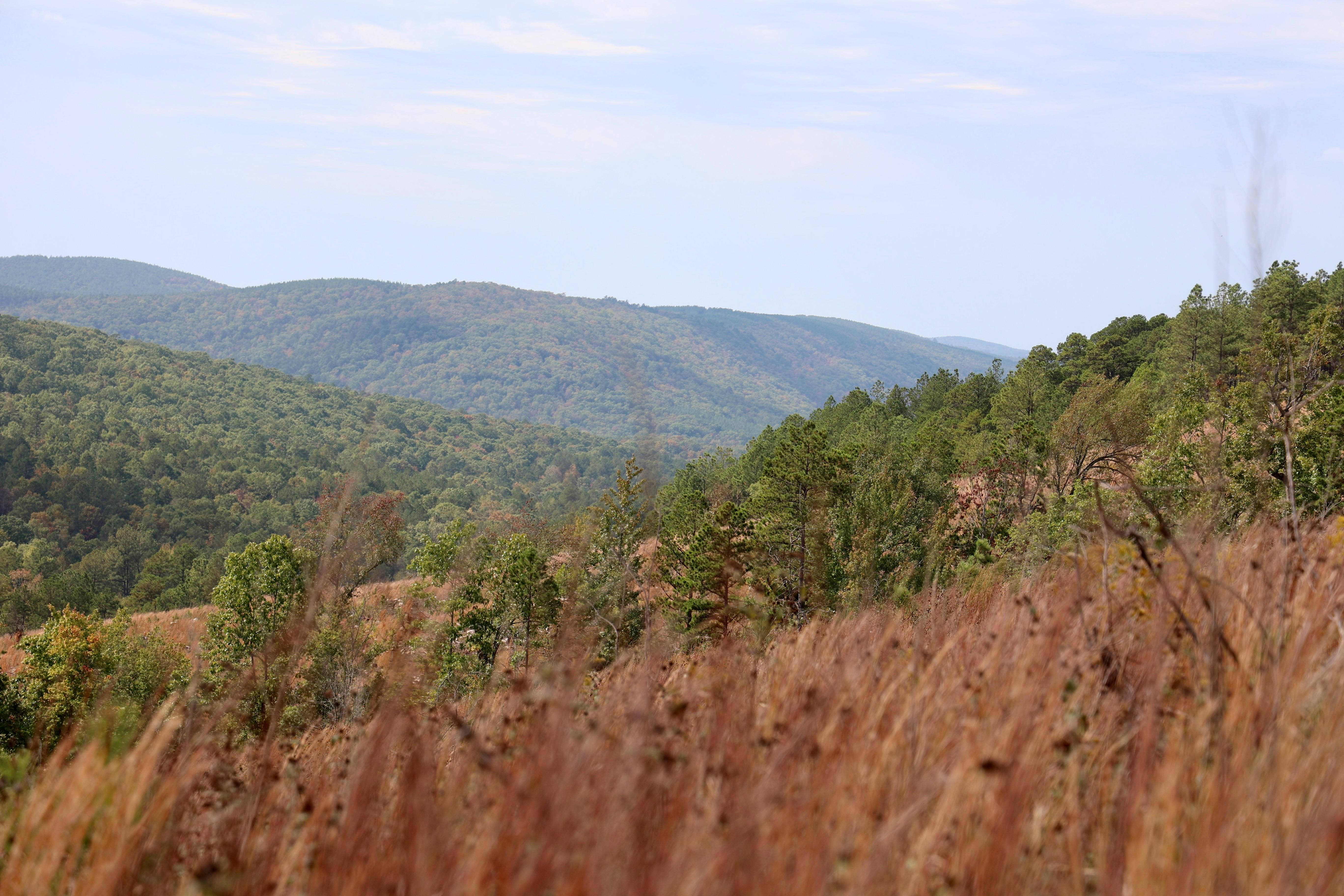 Honobia, Le Flore County, OK Recreational Property, Undeveloped Land