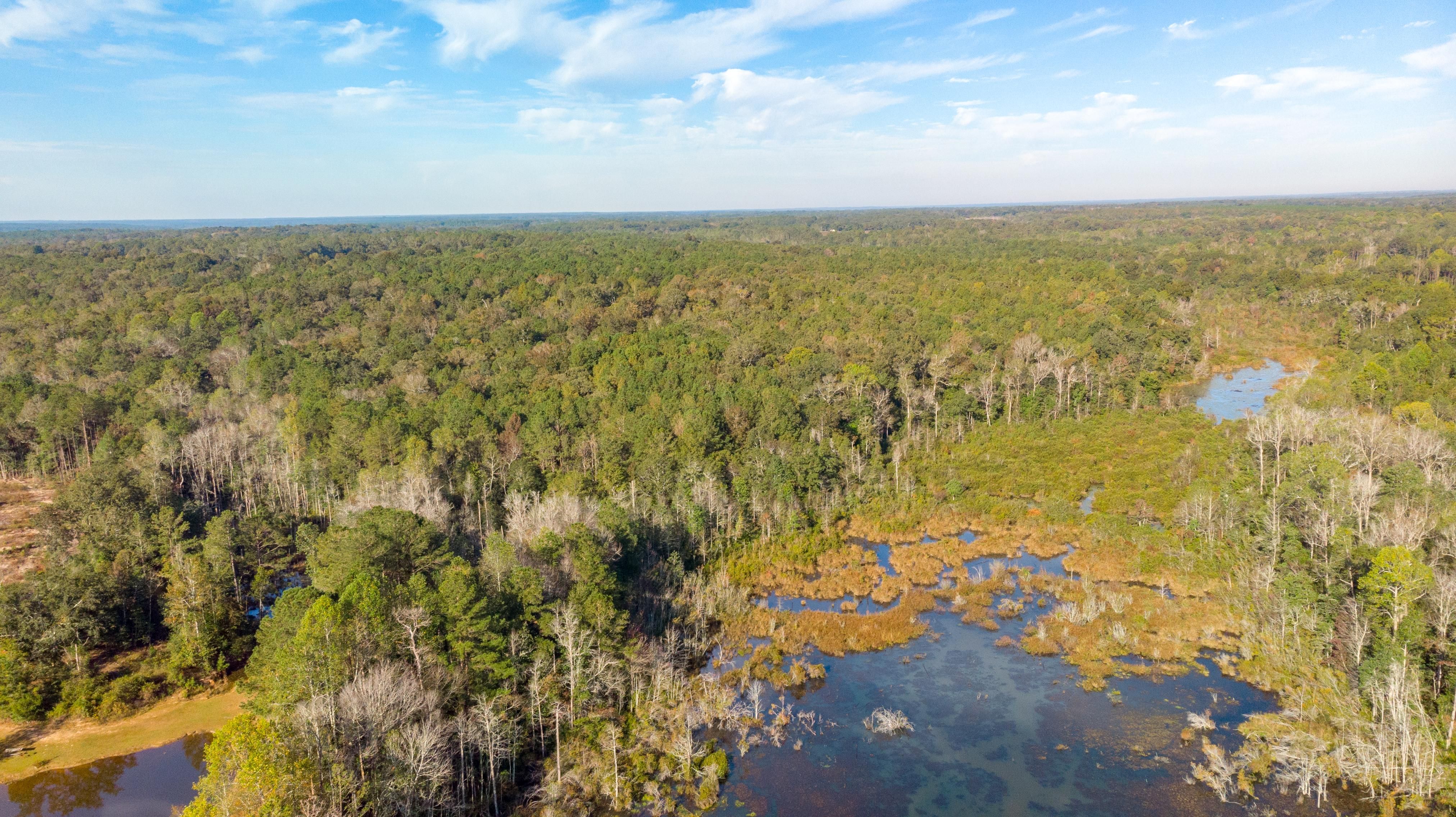 Oglethorpe, Macon County, GA Recreational Property, Timberland Property