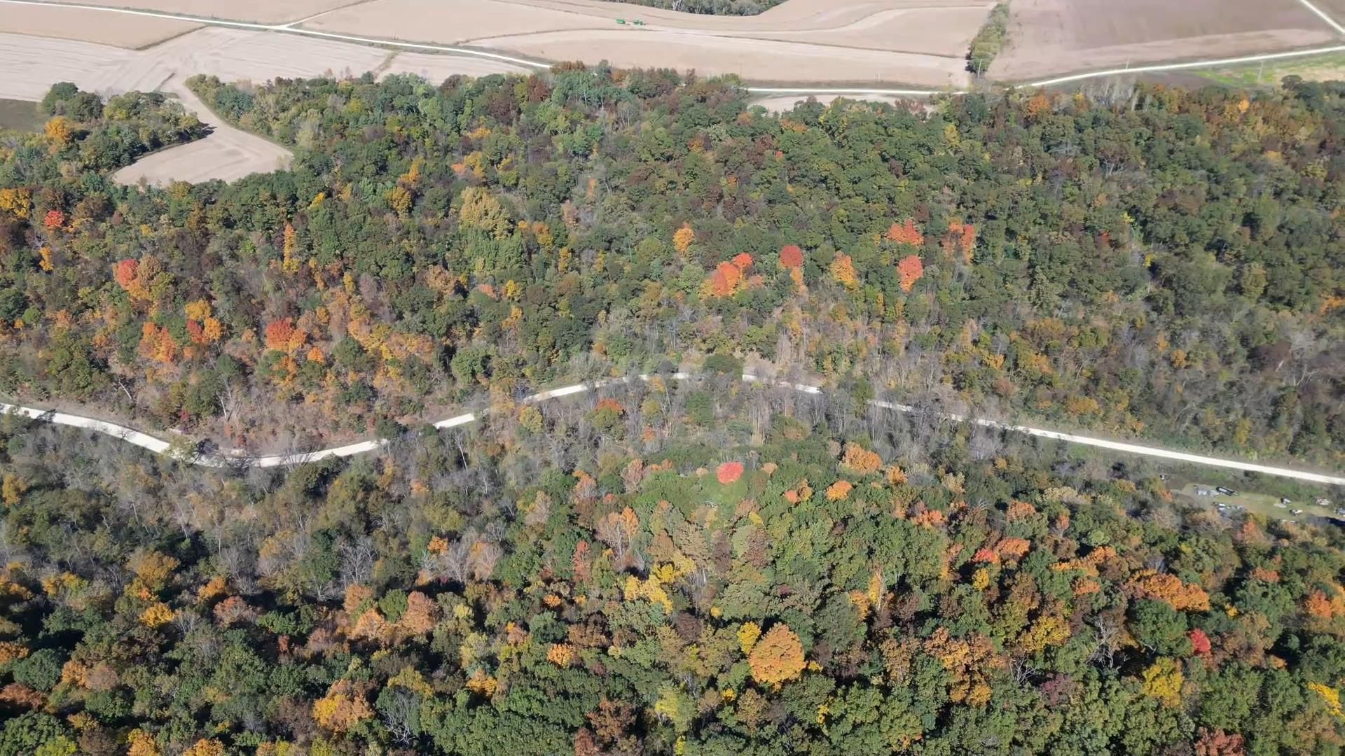 Houston, Houston County, MN Recreational Property, Timberland Property