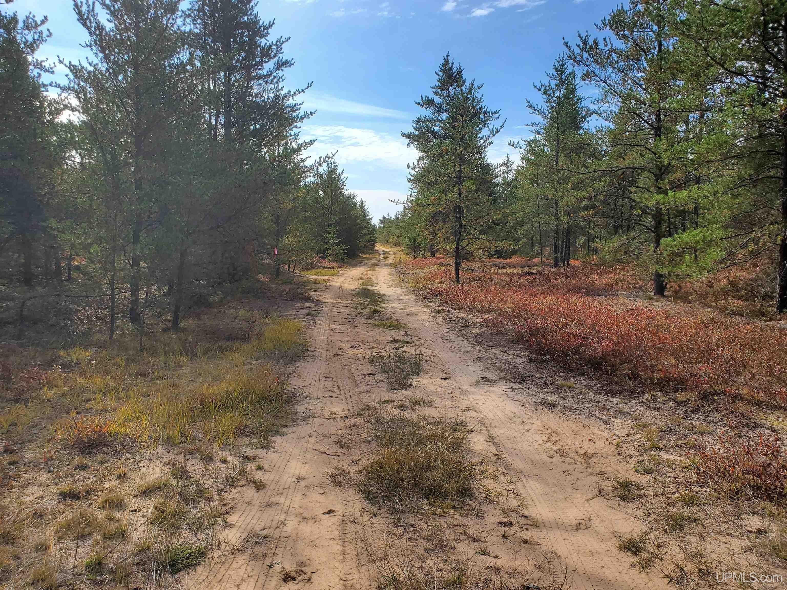 Ishpeming, Marquette County, MI Undeveloped Land for sale Property ID