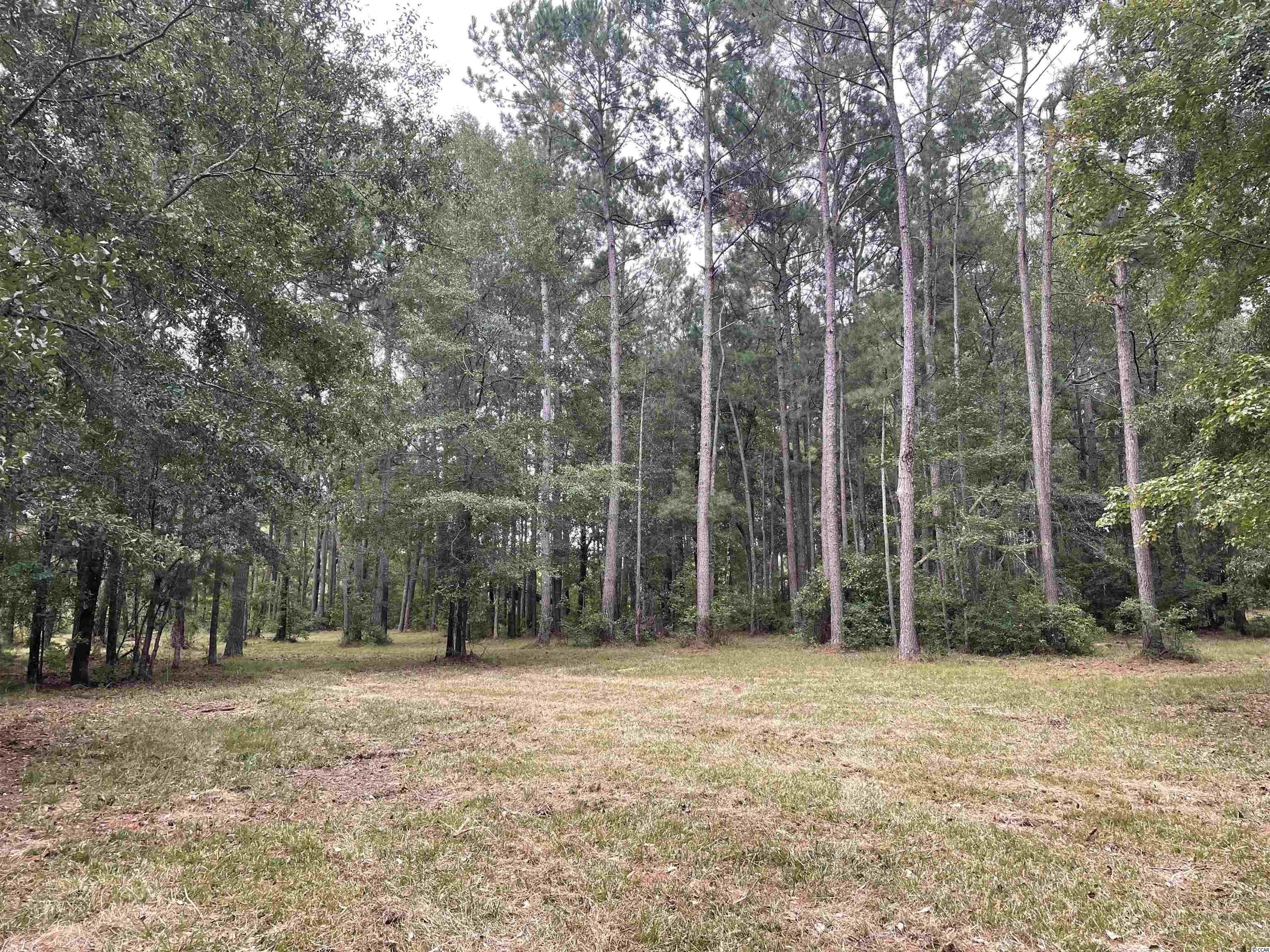 Nesmith, Williamsburg County, SC Undeveloped Land for sale Property ID