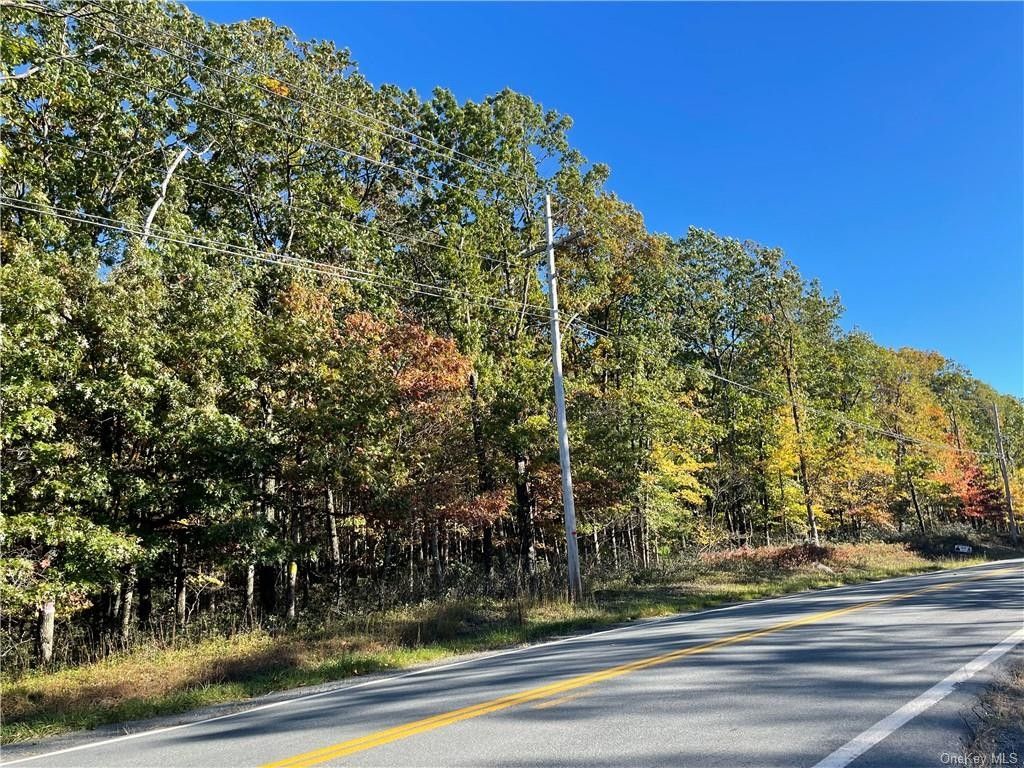 Wurtsboro, Sullivan County, NY Undeveloped Land for sale Property ID