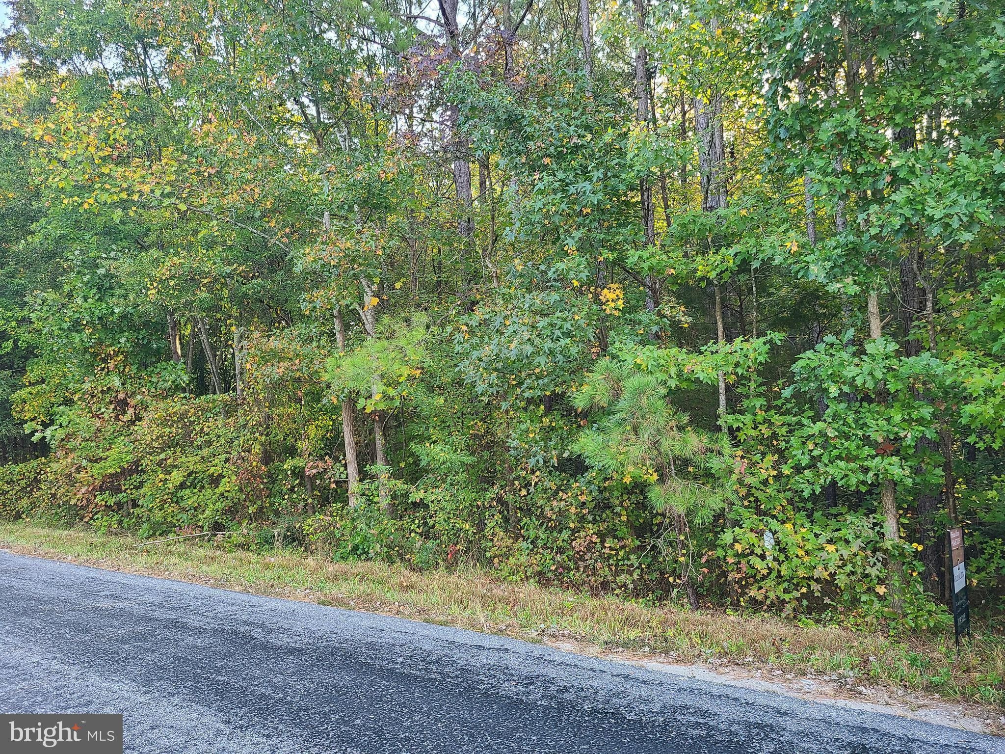 Milford, Caroline County, VA Undeveloped Land for sale Property ID