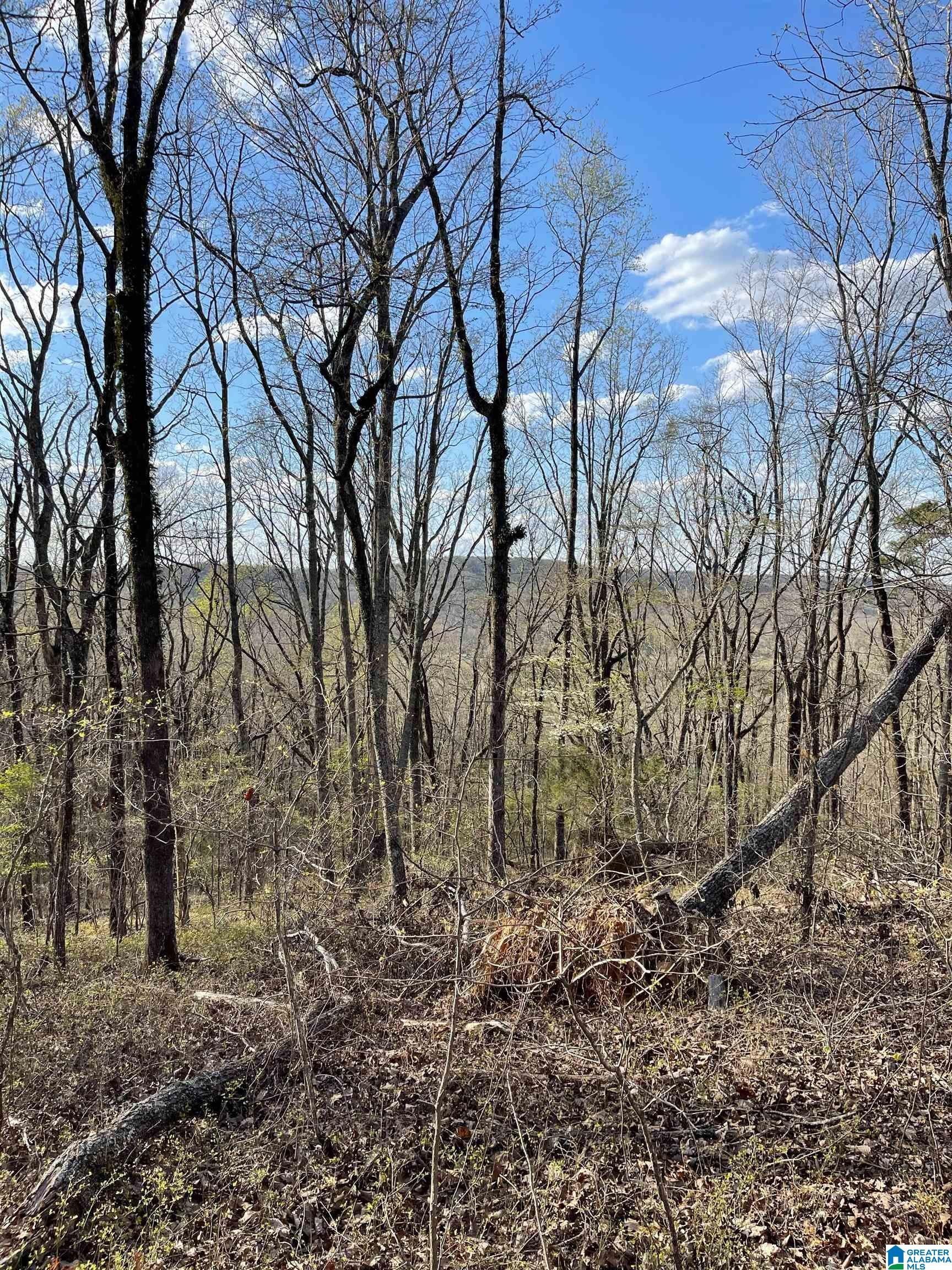 Columbiana, Shelby County, AL Undeveloped Land for sale Property ID