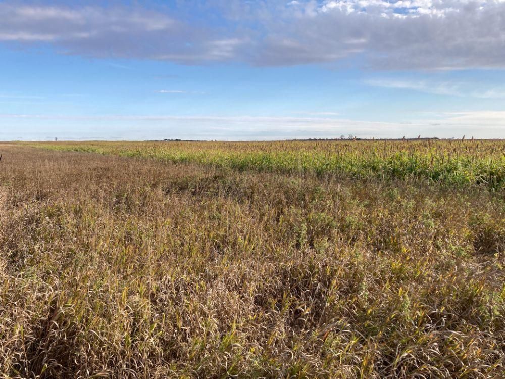 Stickney, Aurora County, SD Farms and Ranches, Hunting Property for