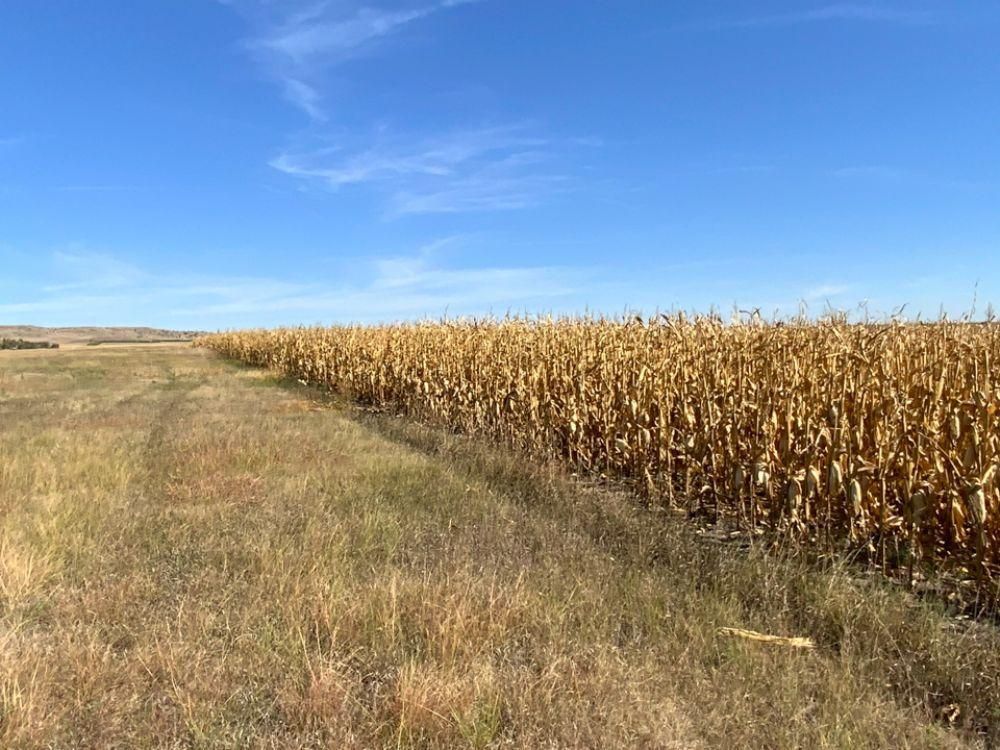 Academy, Brule County, SD Farms and Ranches, Hunting Property for sale