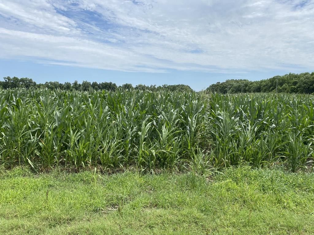 Coffeyville, Montgomery County, KS Undeveloped Land for sale Property